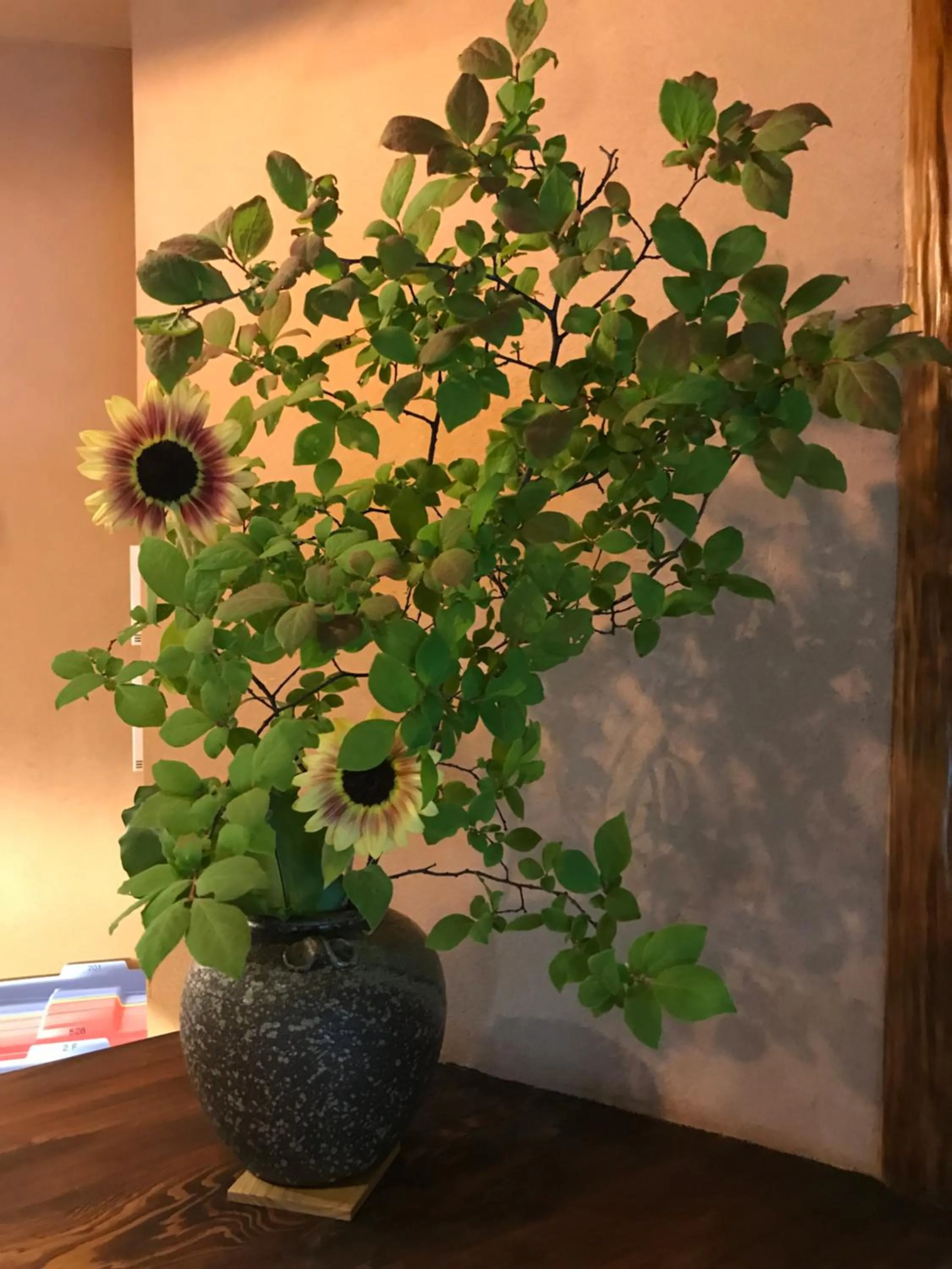 Kyomachiya Ryokan Sakura Urushitei