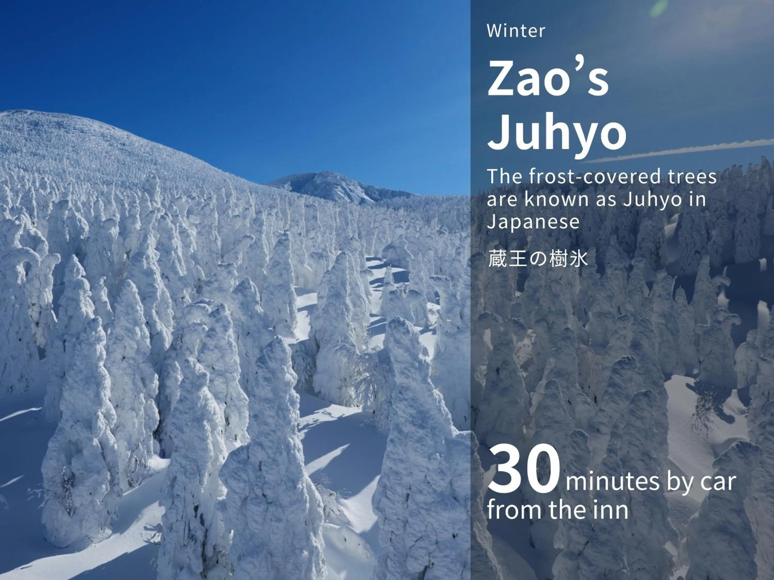 Nearby landmark in Senkeien Tsukioka Hotel