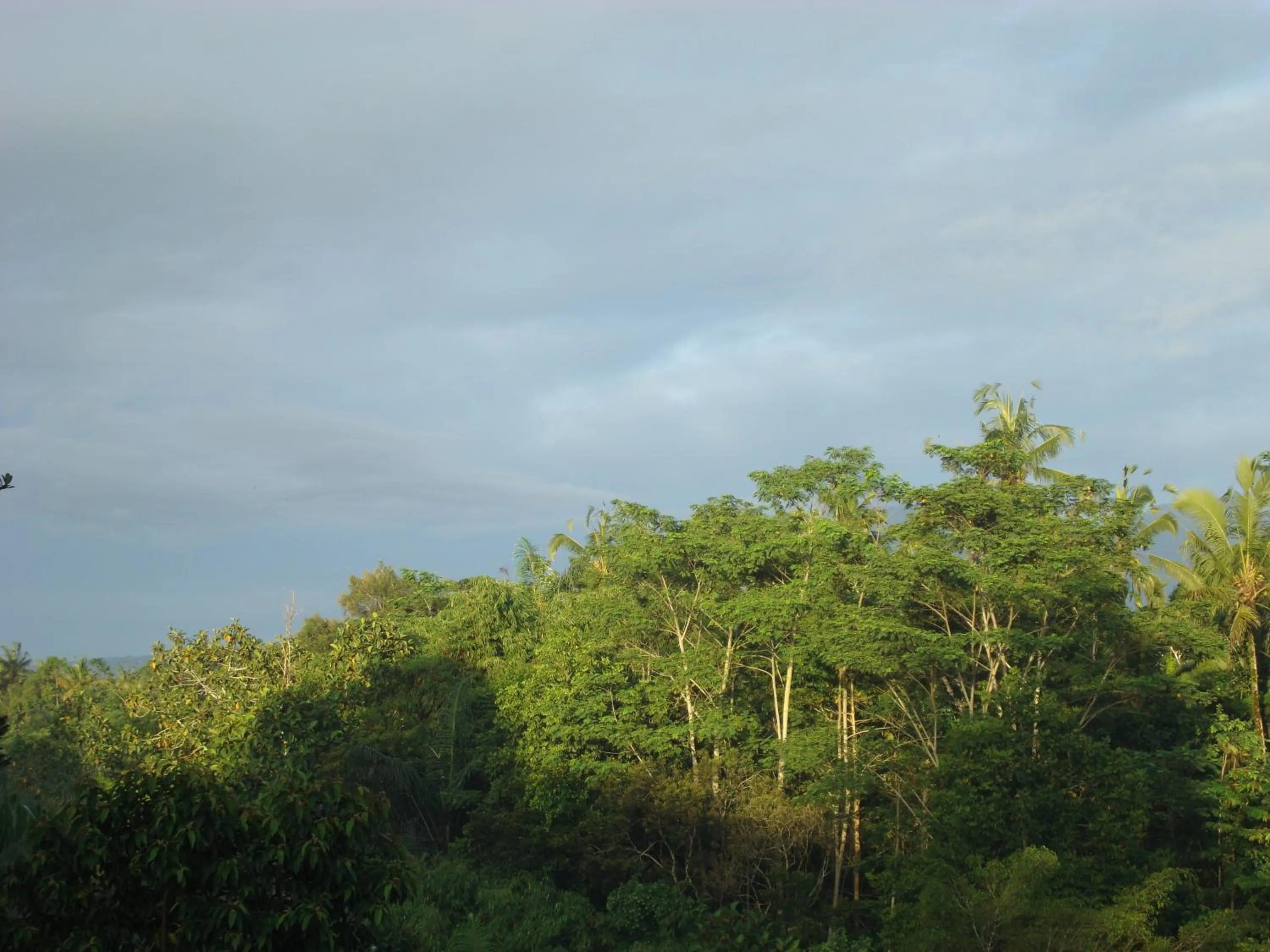 Bird's eye view in Senetan Villas and Spa Resort