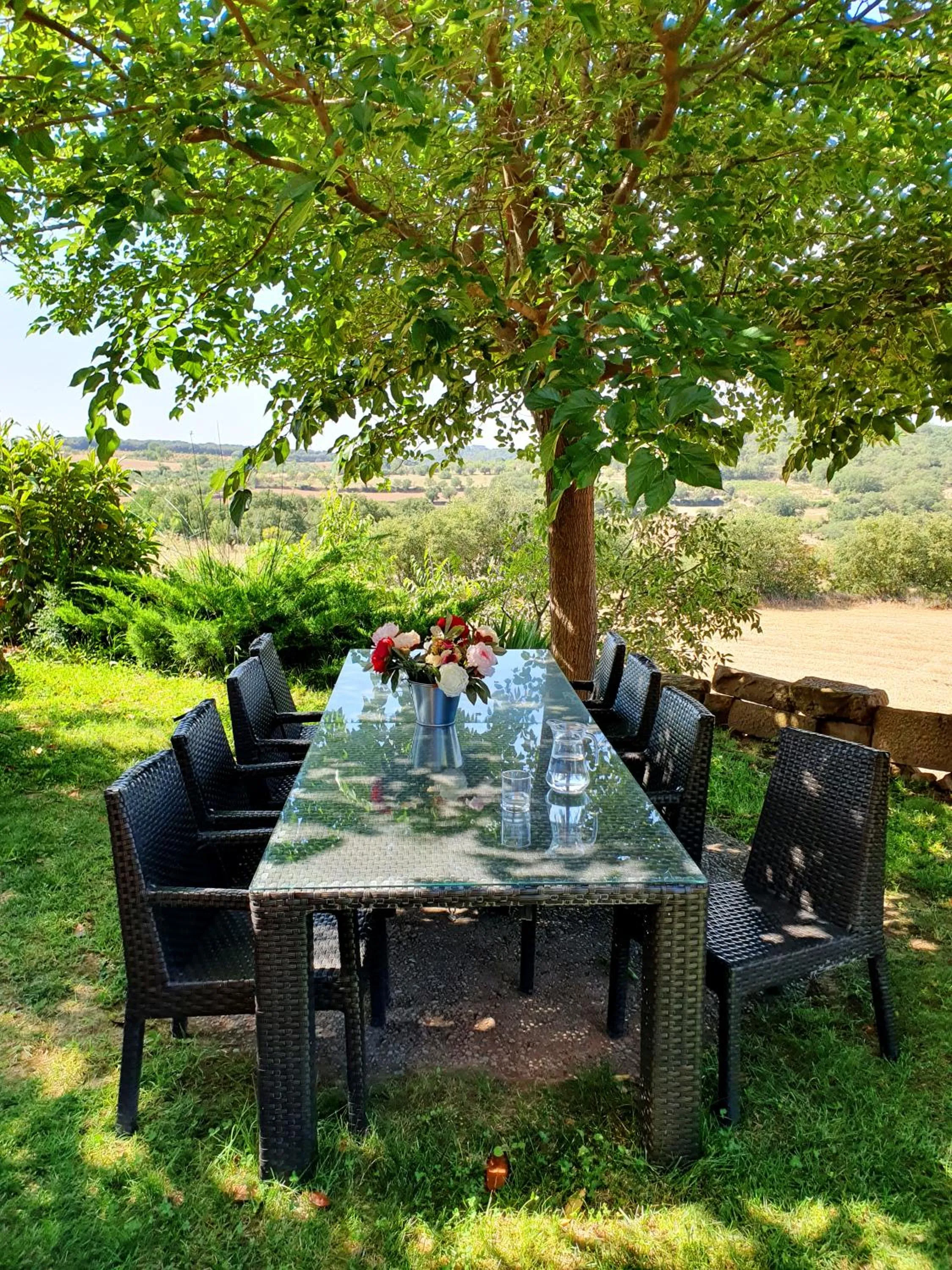 Garden in Hotel Era Conte