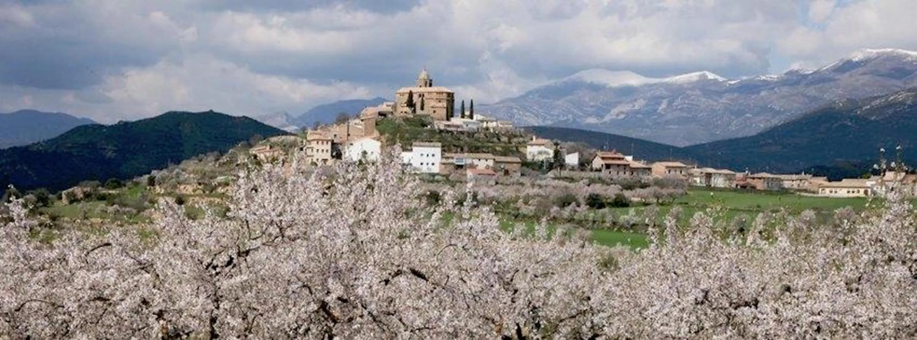 View (from property/room) in Hotel Era Conte