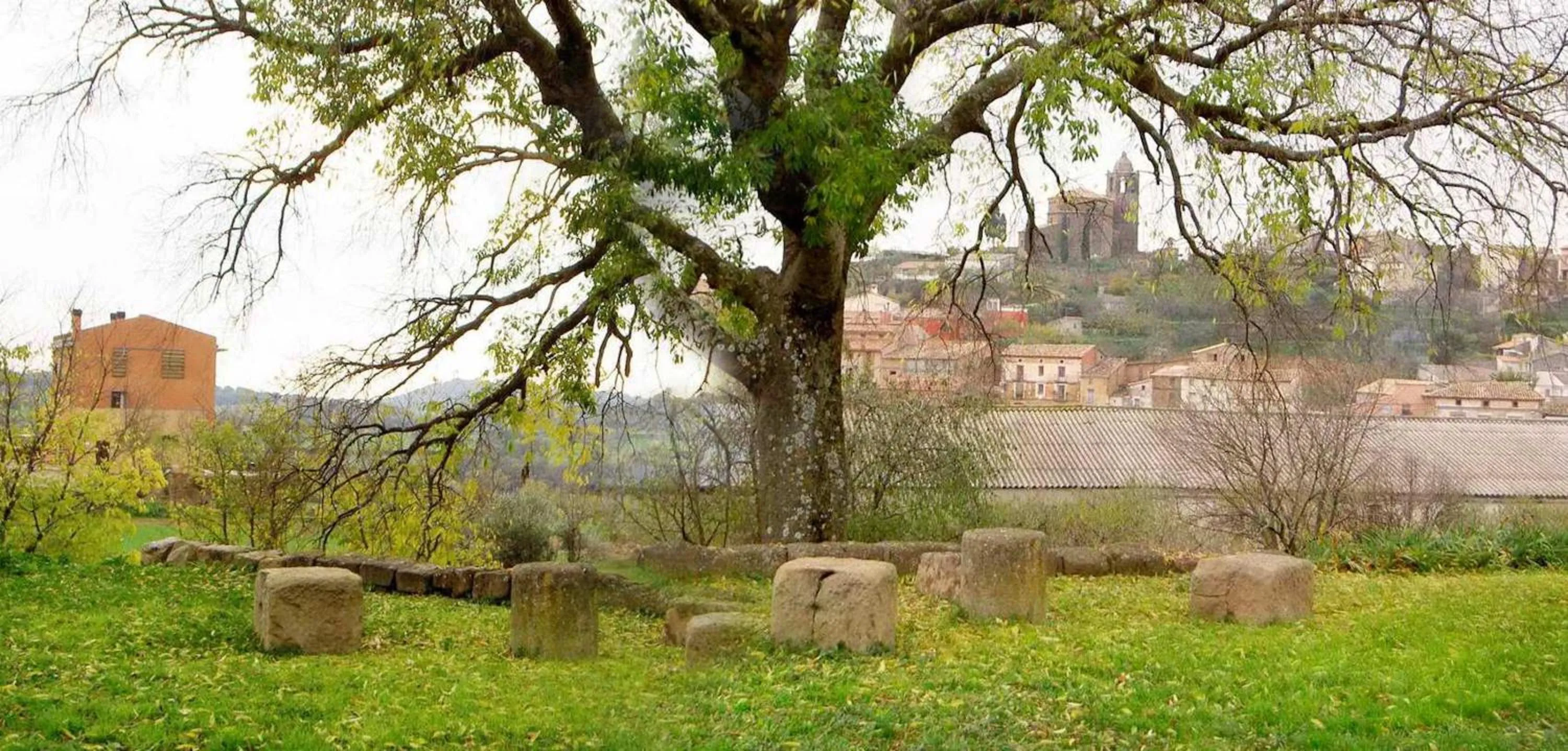 Natural landscape in Hotel Era Conte