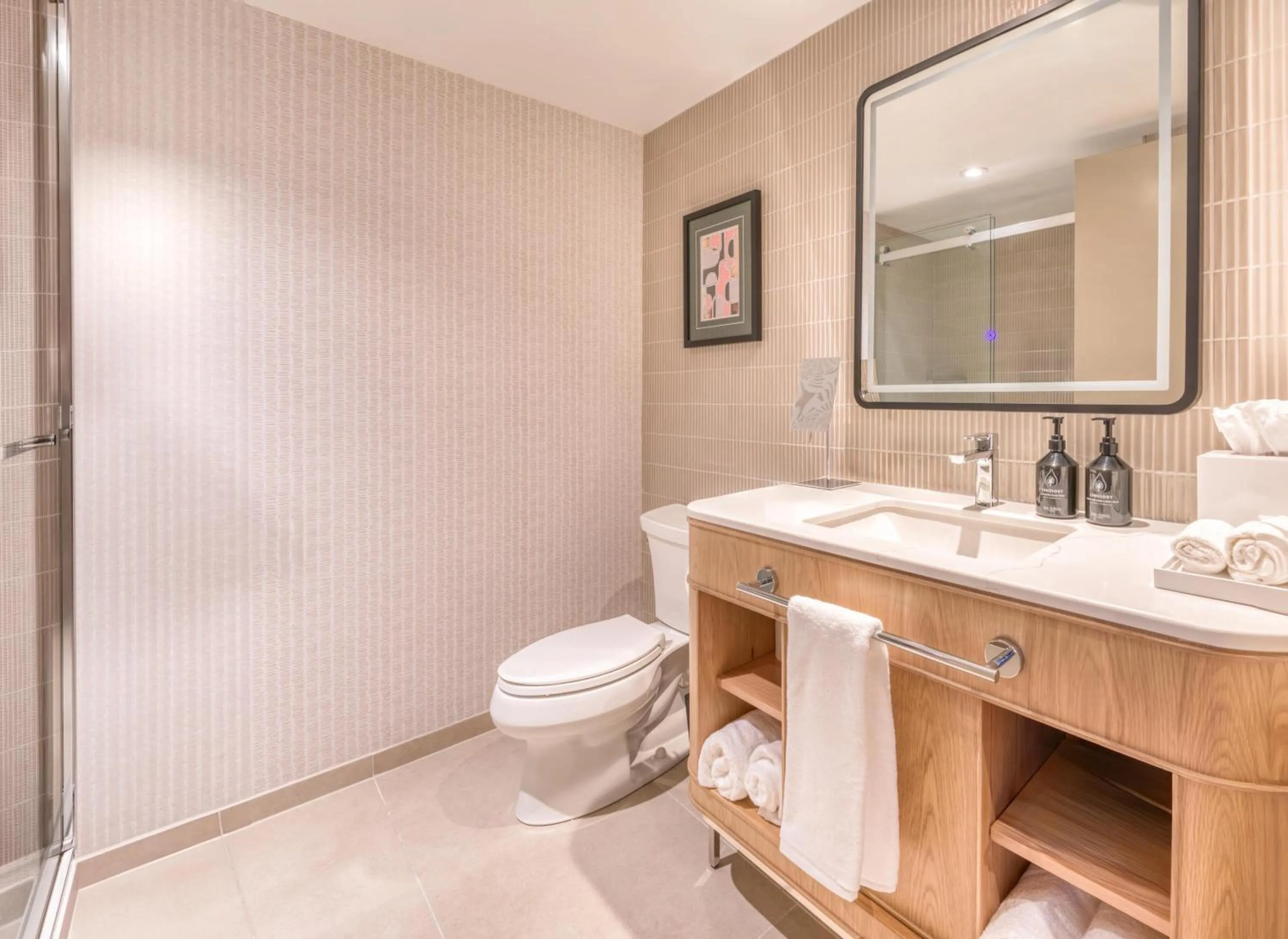 Bathroom in Toor Hotel Toronto, Part Of Jdv By Hyatt