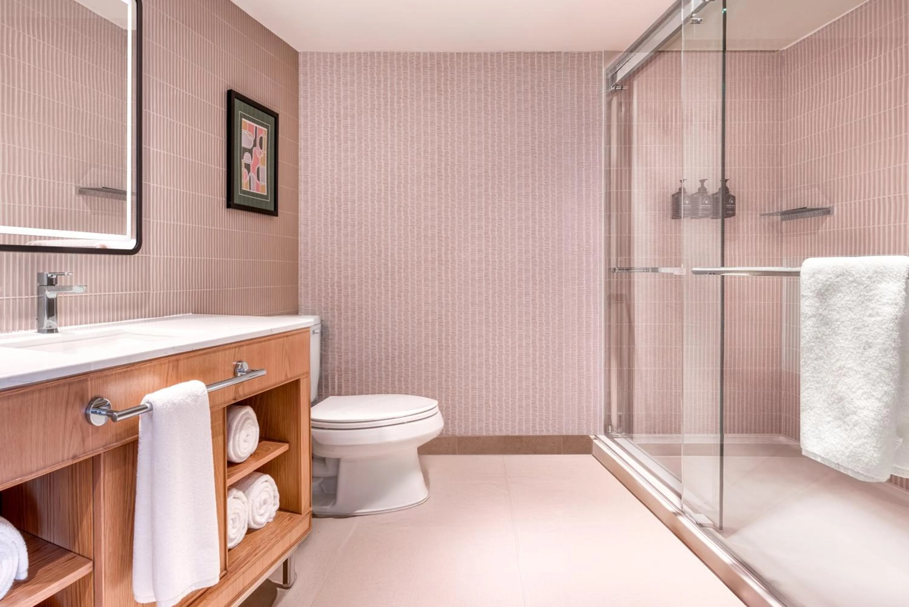 Bathroom in Toor Hotel Toronto, Part Of Jdv By Hyatt