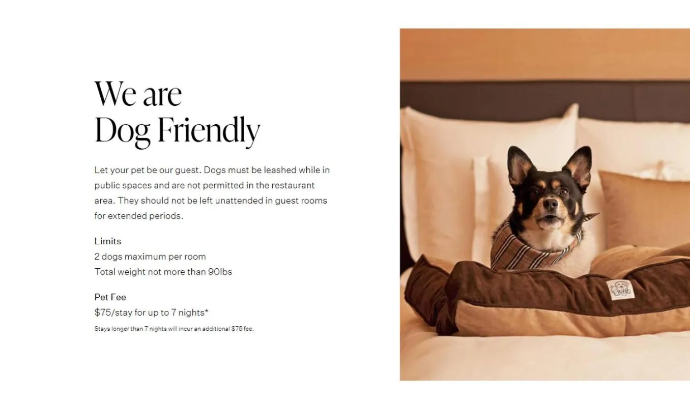 Toor Hotel Toronto, Part Of Jdv By Hyatt