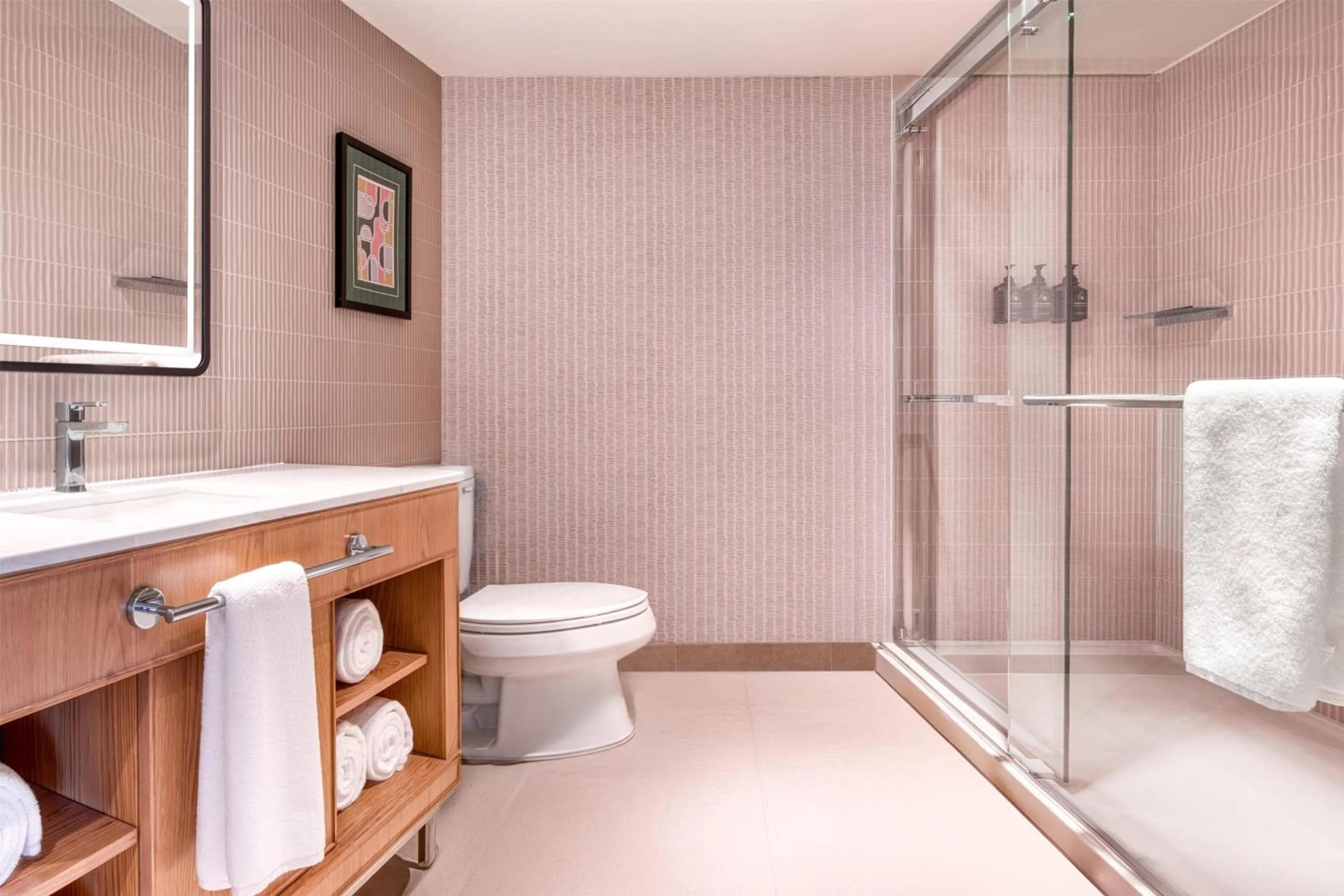 Bathroom in Toor Hotel Toronto, Part Of Jdv By Hyatt