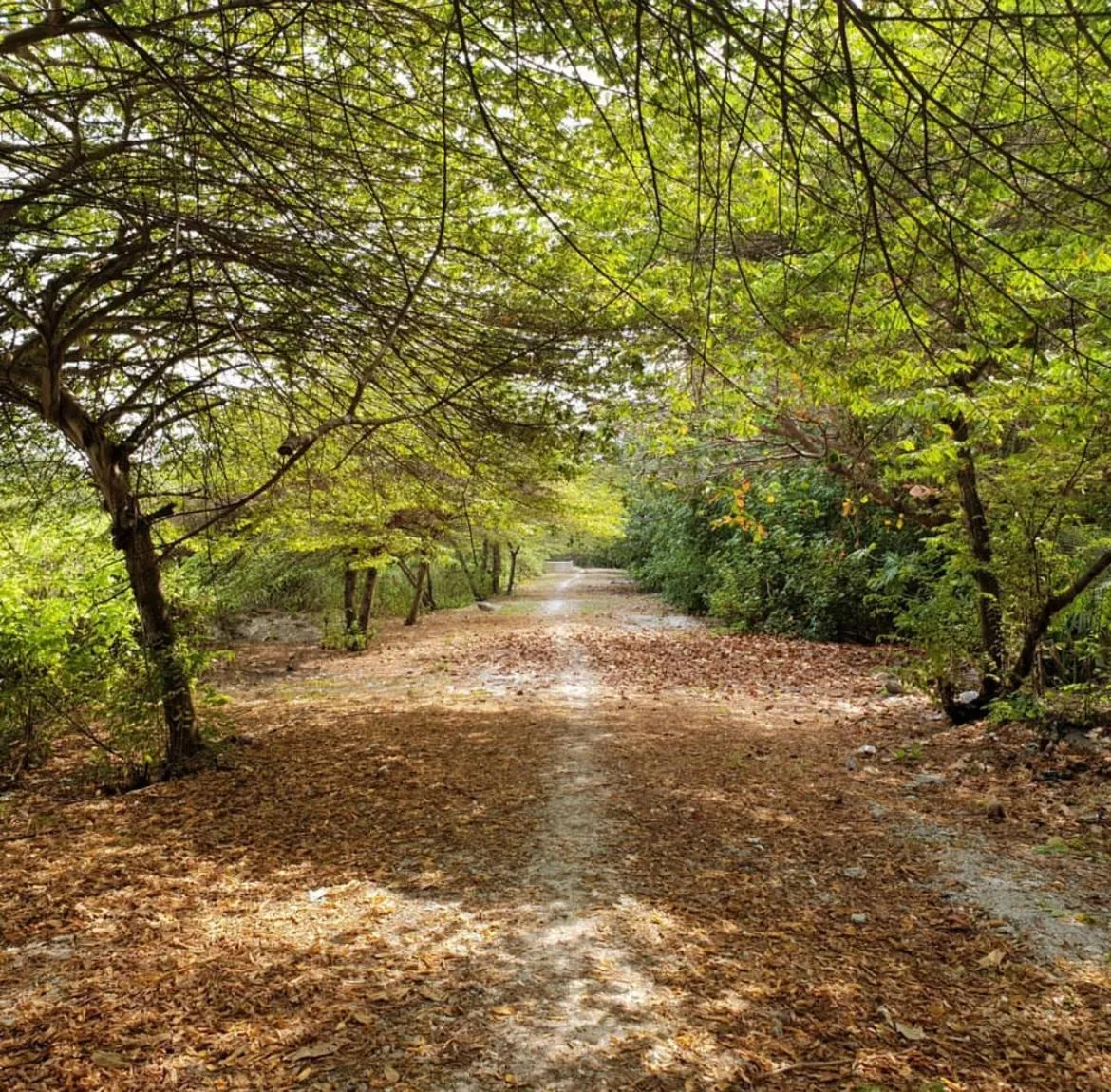 Day in Bon Abri Maldives
