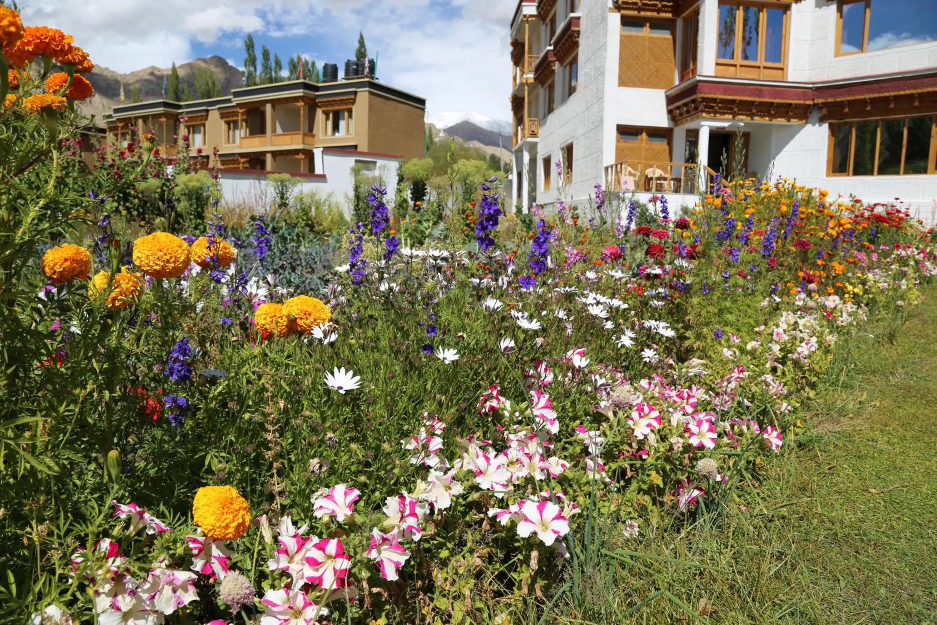 Spring in Ladakh Himalayan Retreat