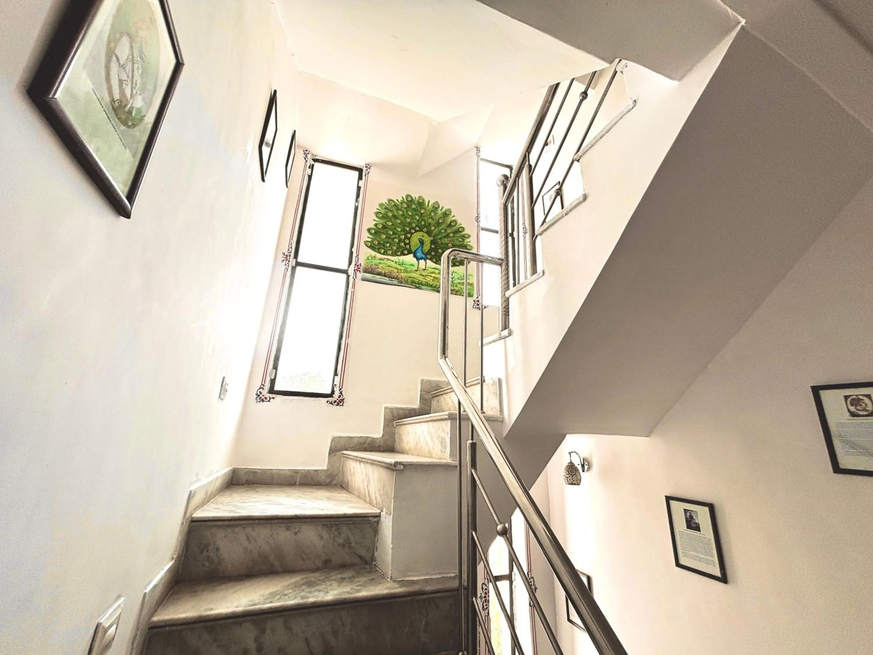 Multiple Stories, Udaipur