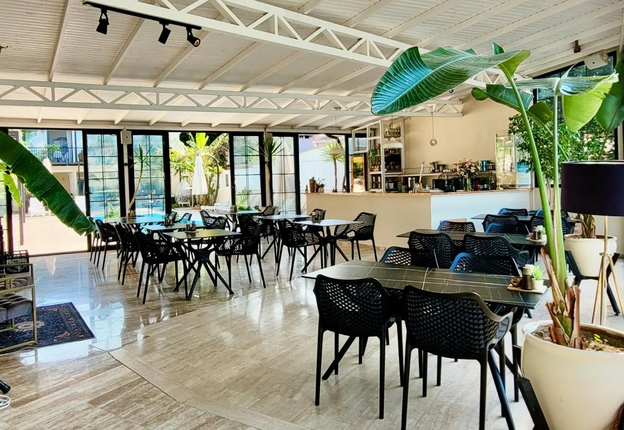 Restaurant/places to eat in Arp Dalyan