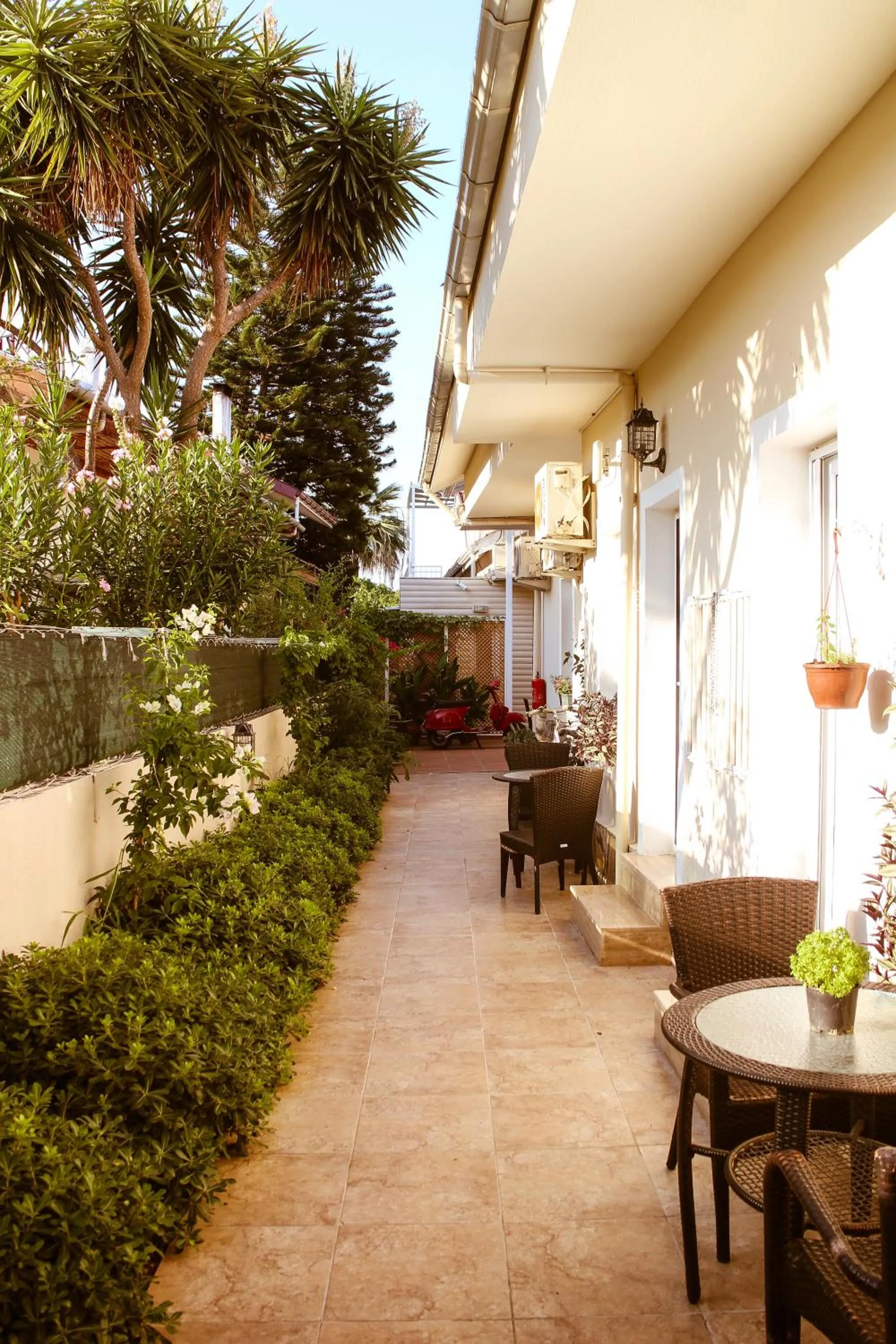 Property building in Arp Dalyan