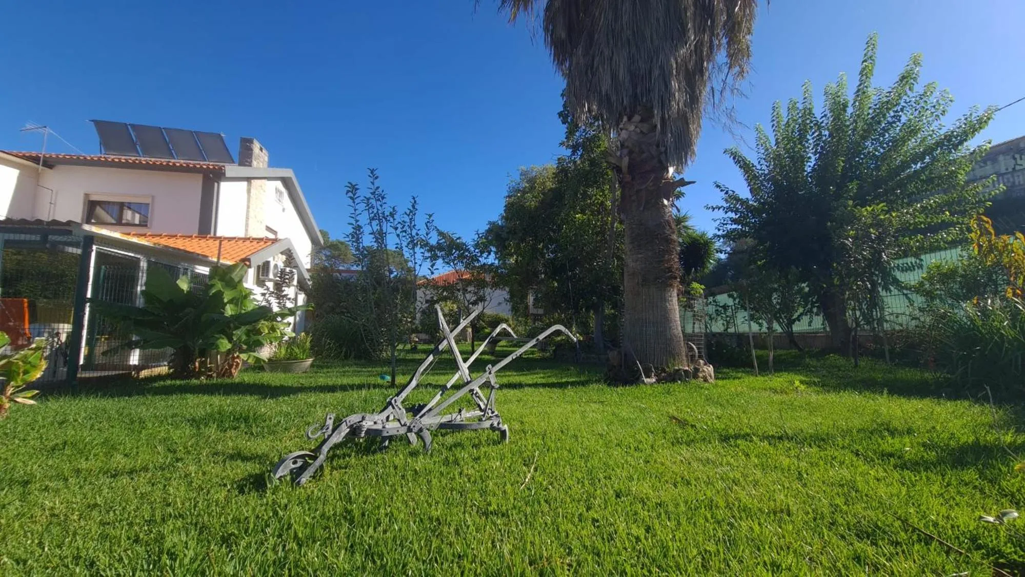 Garden in Hostel Jardins de São Luís