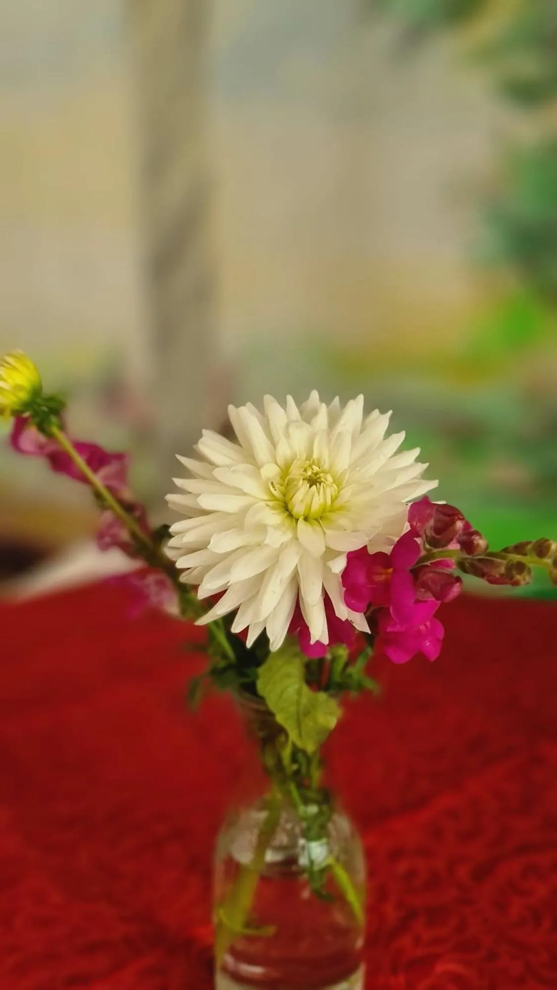 Decorative detail in Hostel Jardins de São Luís