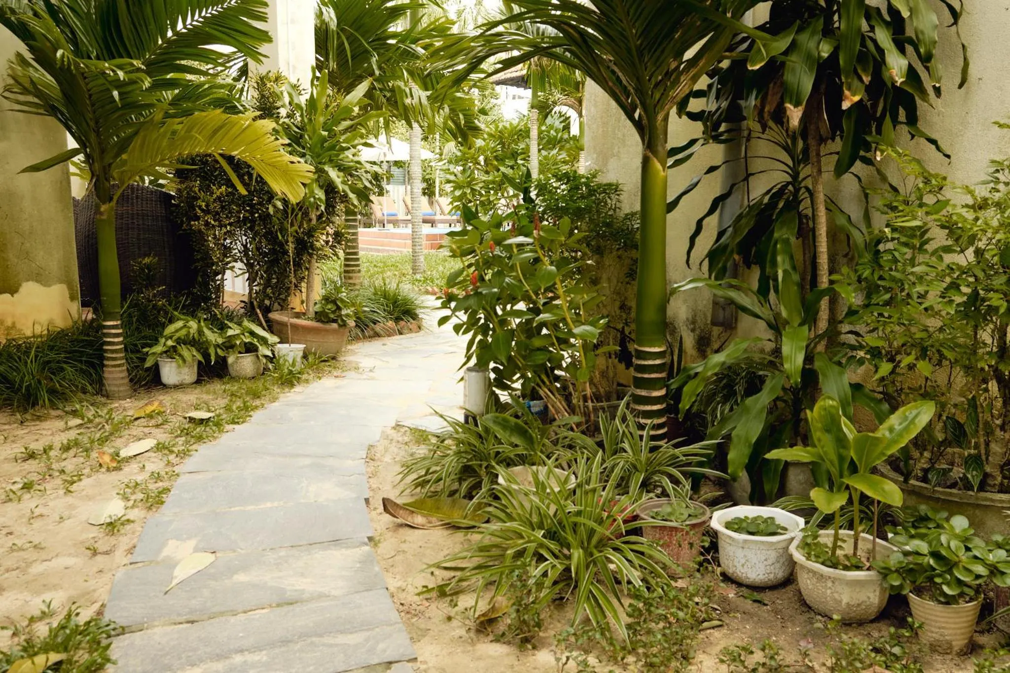 Natural landscape in Hoi An Holiday Villa