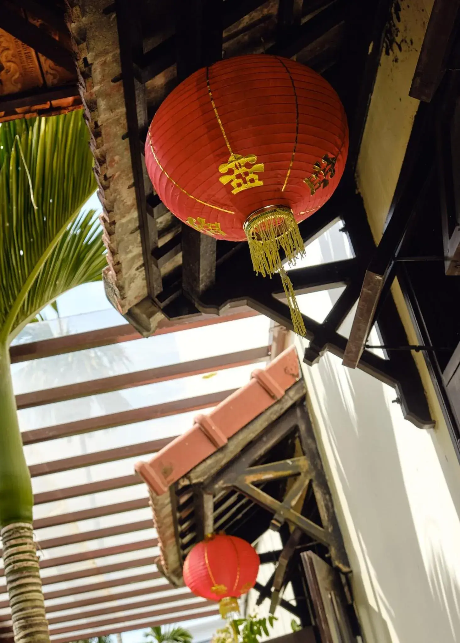 View (from property/room) in Hoi An Holiday Villa View (from property/room) in Hoi An Holiday Villa
