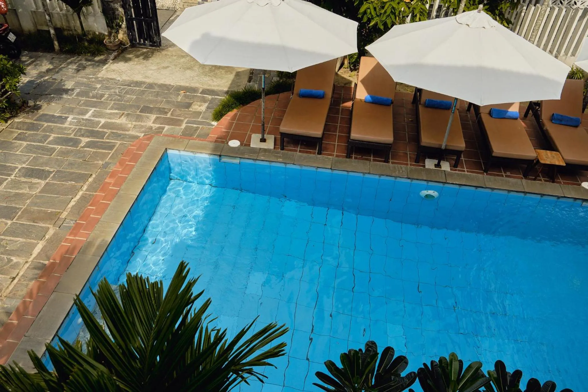 Pool view in Hoi An Holiday Villa