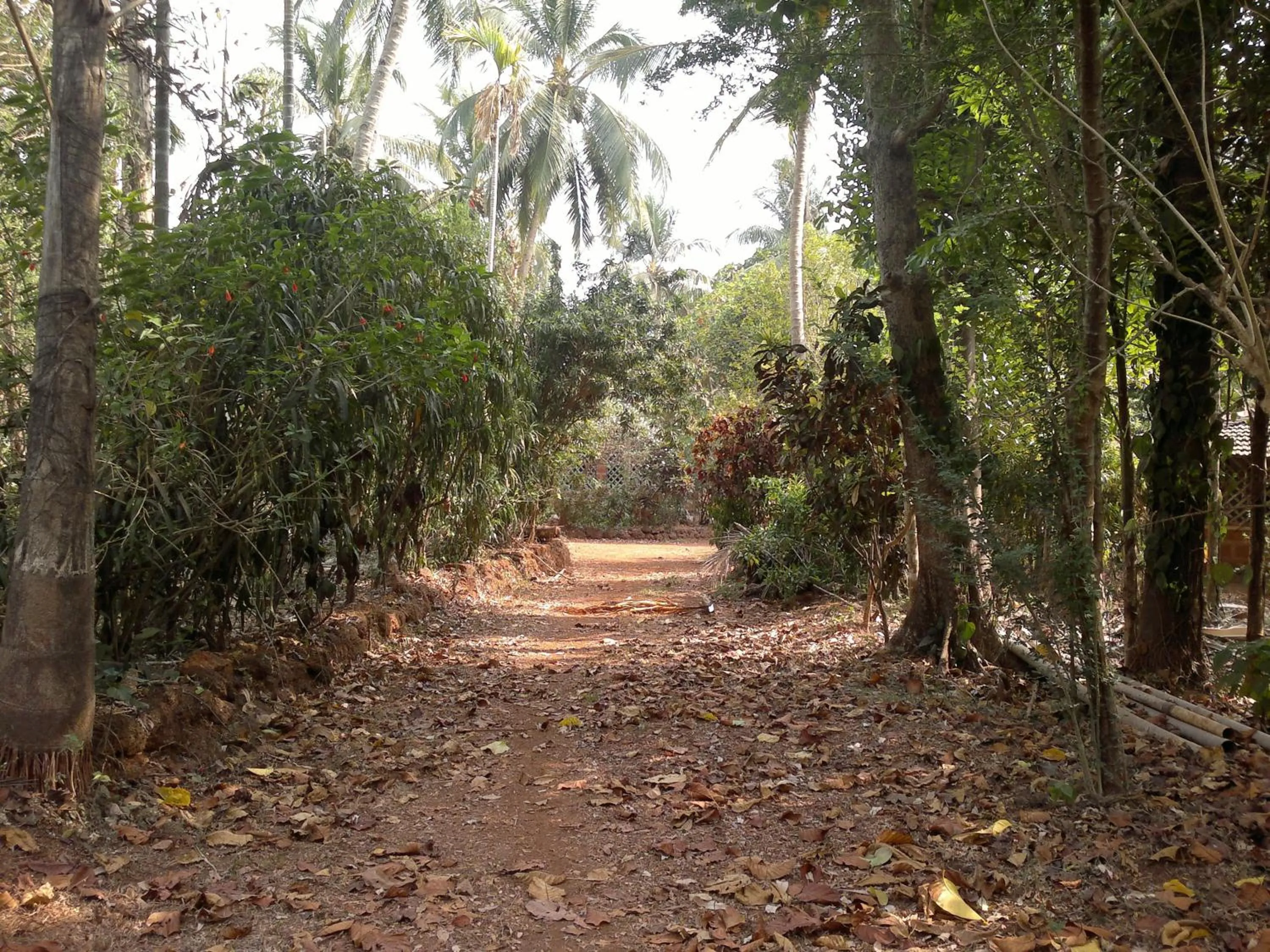 Facade/entrance in Dudhsagar Plantation