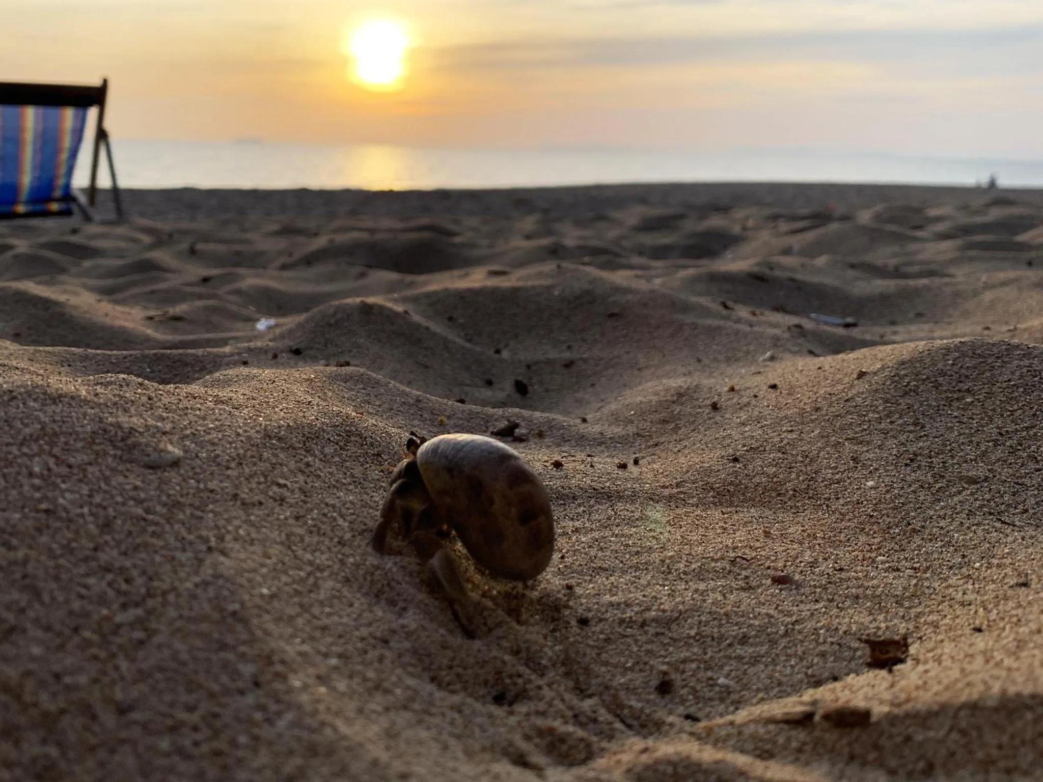 Day in Abrite House - Tiny House Koh Lanta