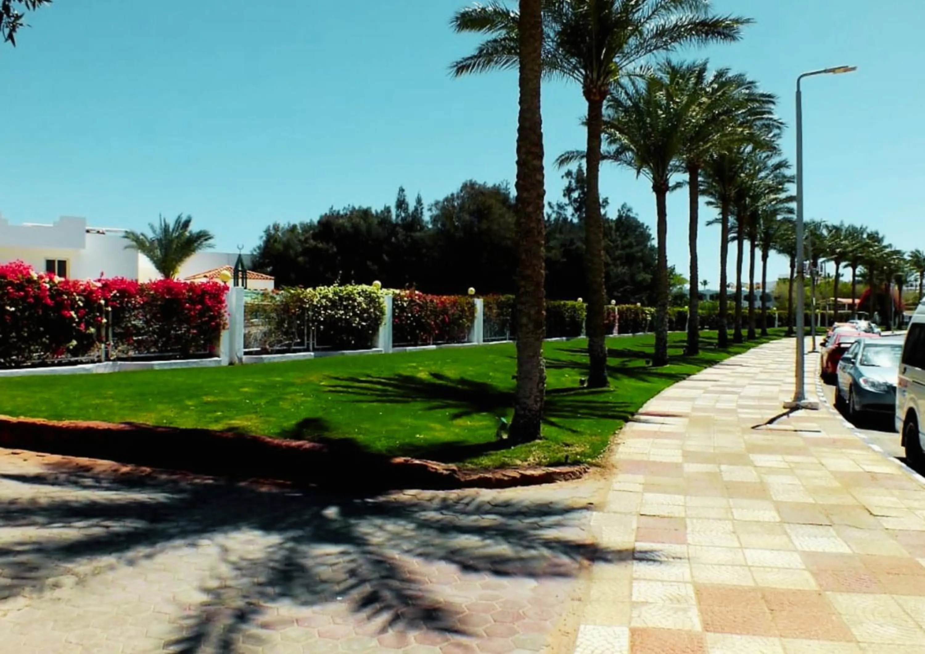 Garden in Luxury Sharm Hills Resort