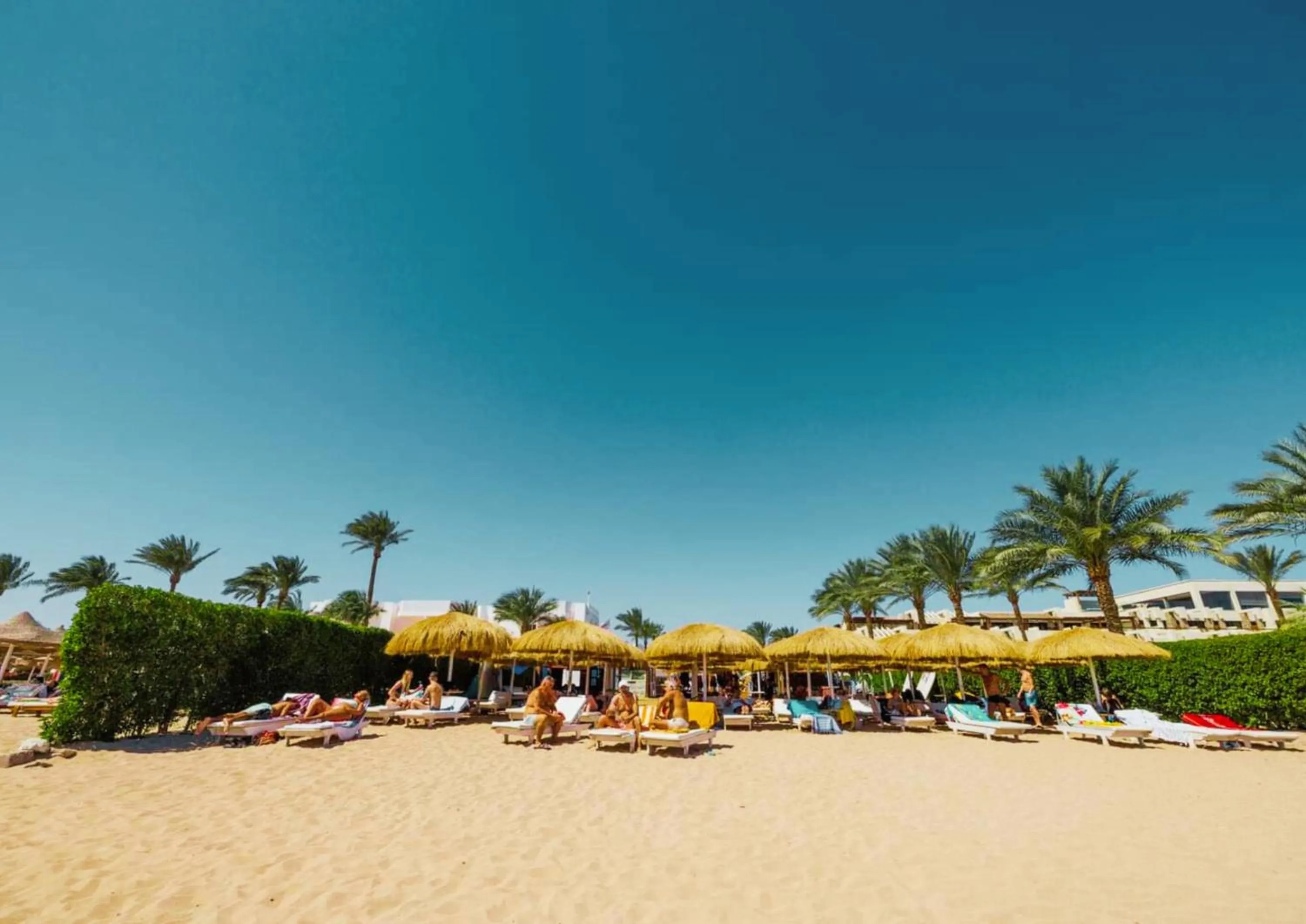 Beach in Luxury Sharm Hills Resort