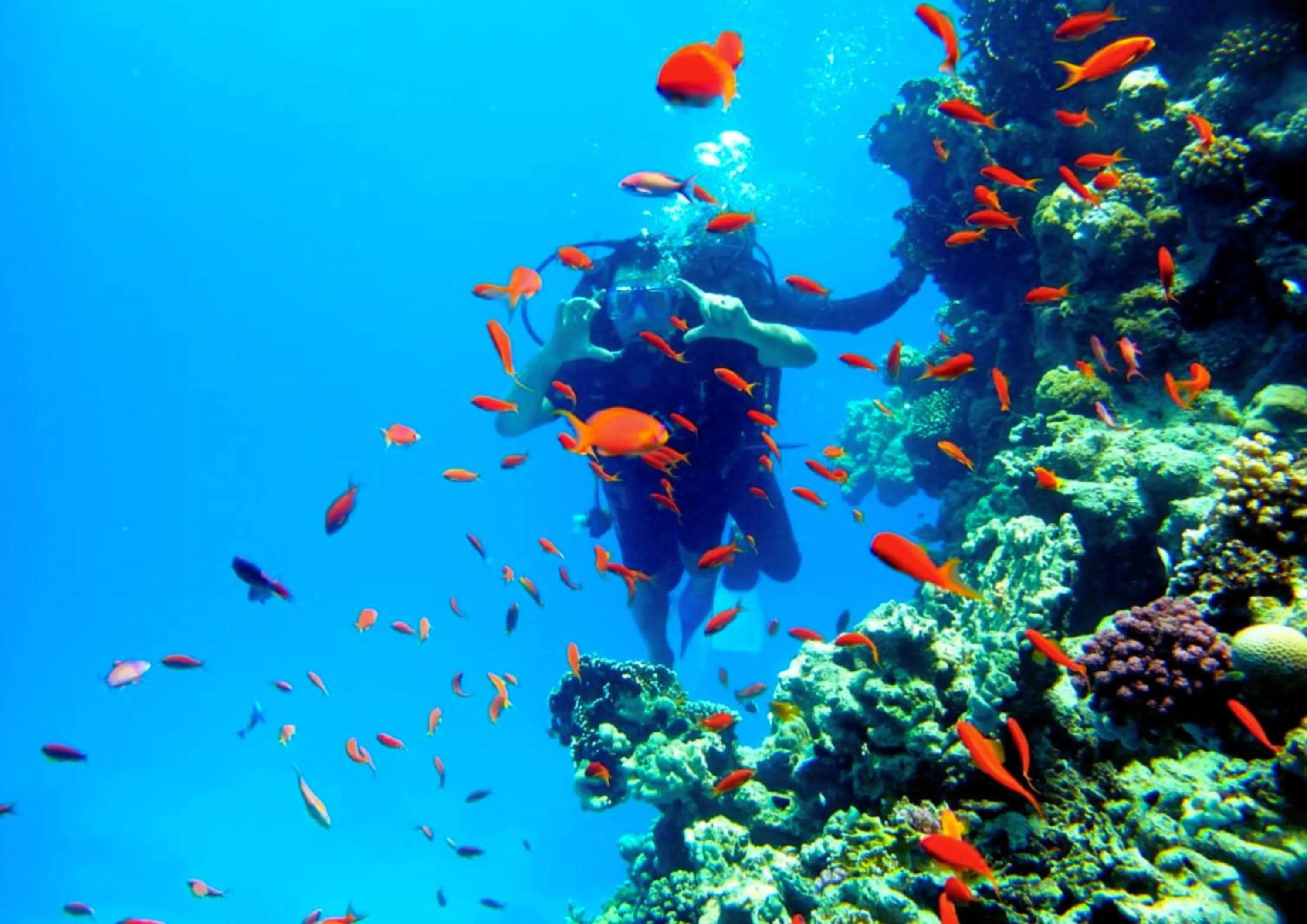 Activities in Luxury Sharm Hills Resort