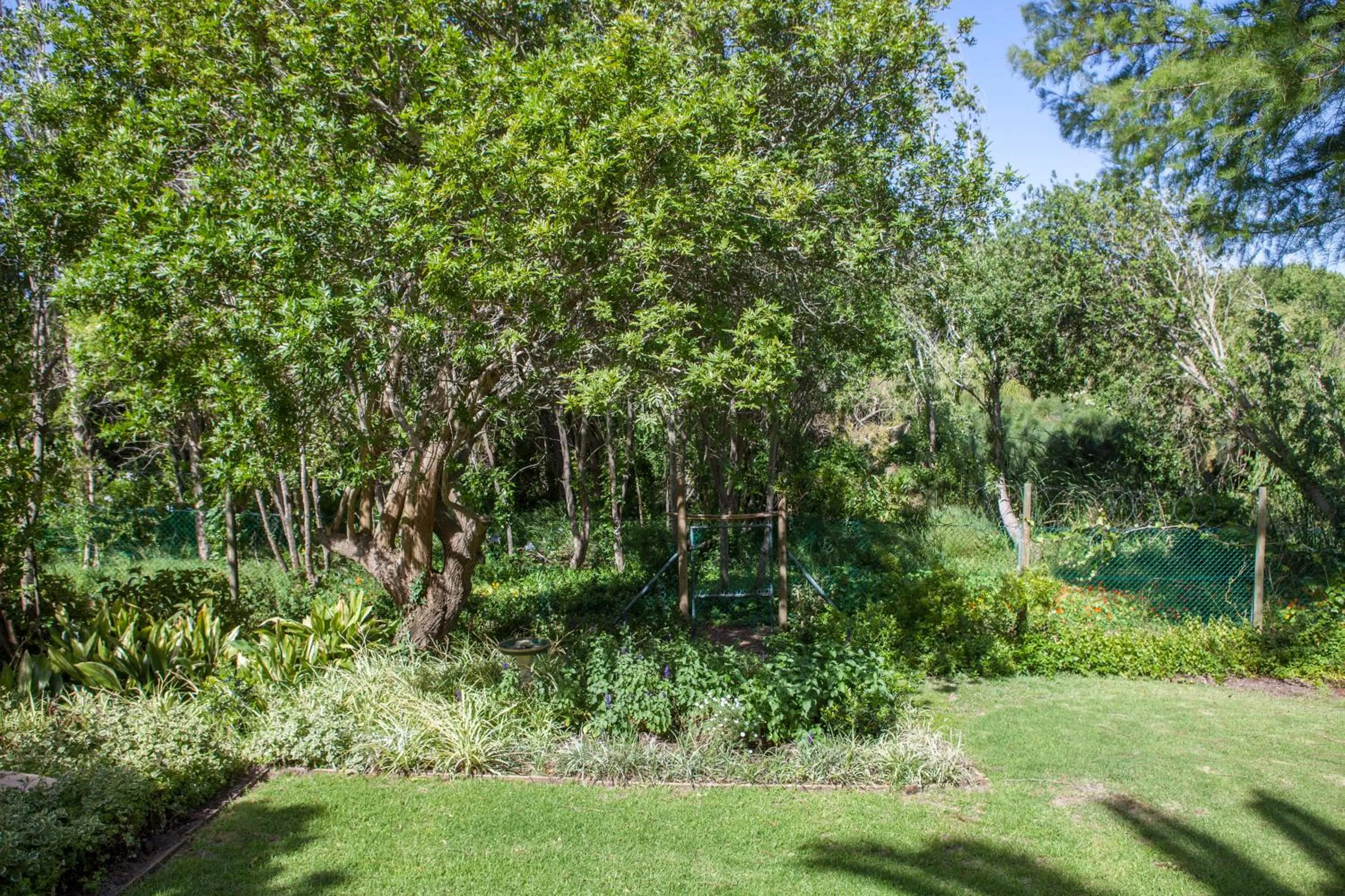 Garden in 33 Strawberry Lane - Studio and Cottage