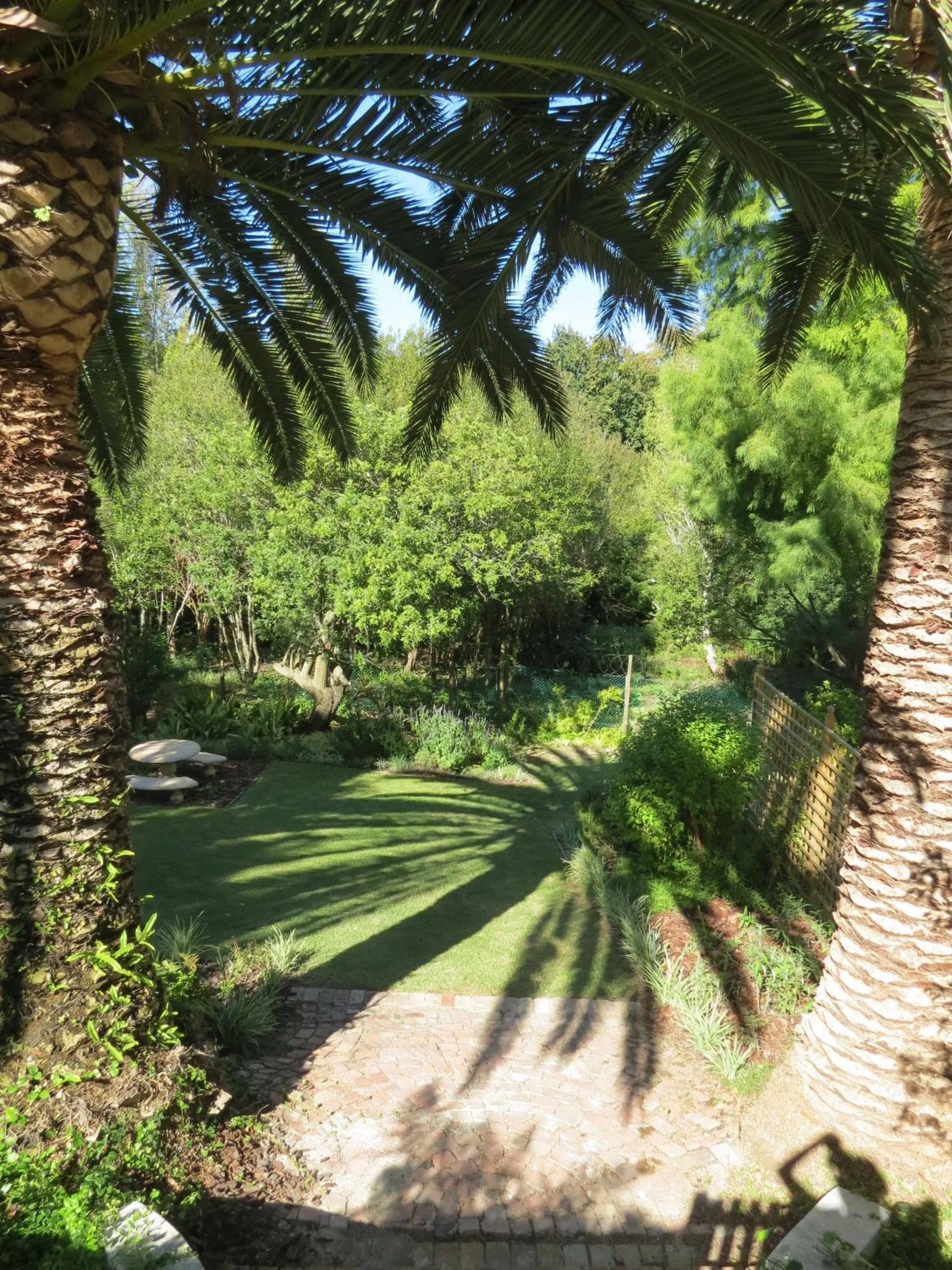 Garden in 33 Strawberry Lane - Studio and Cottage
