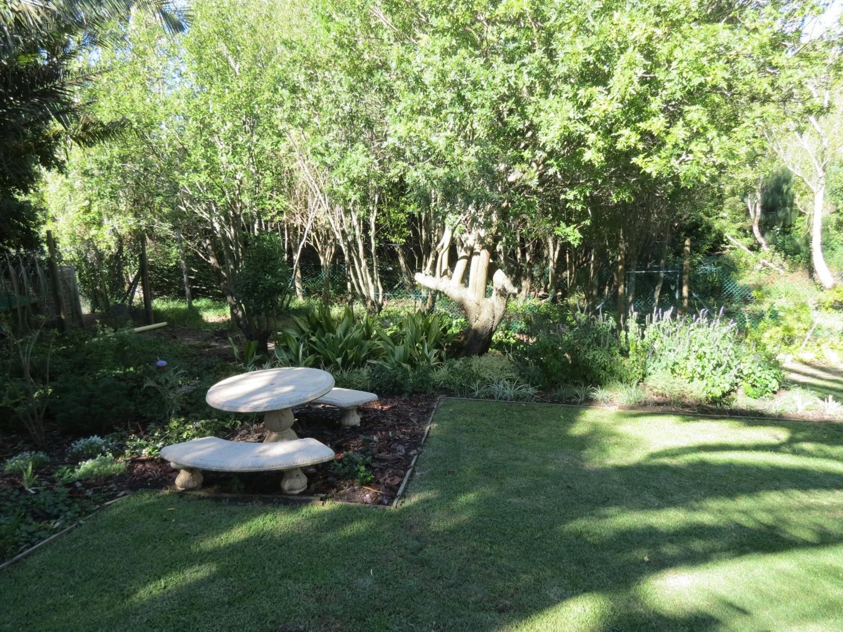 Garden in 33 Strawberry Lane - Studio and Cottage