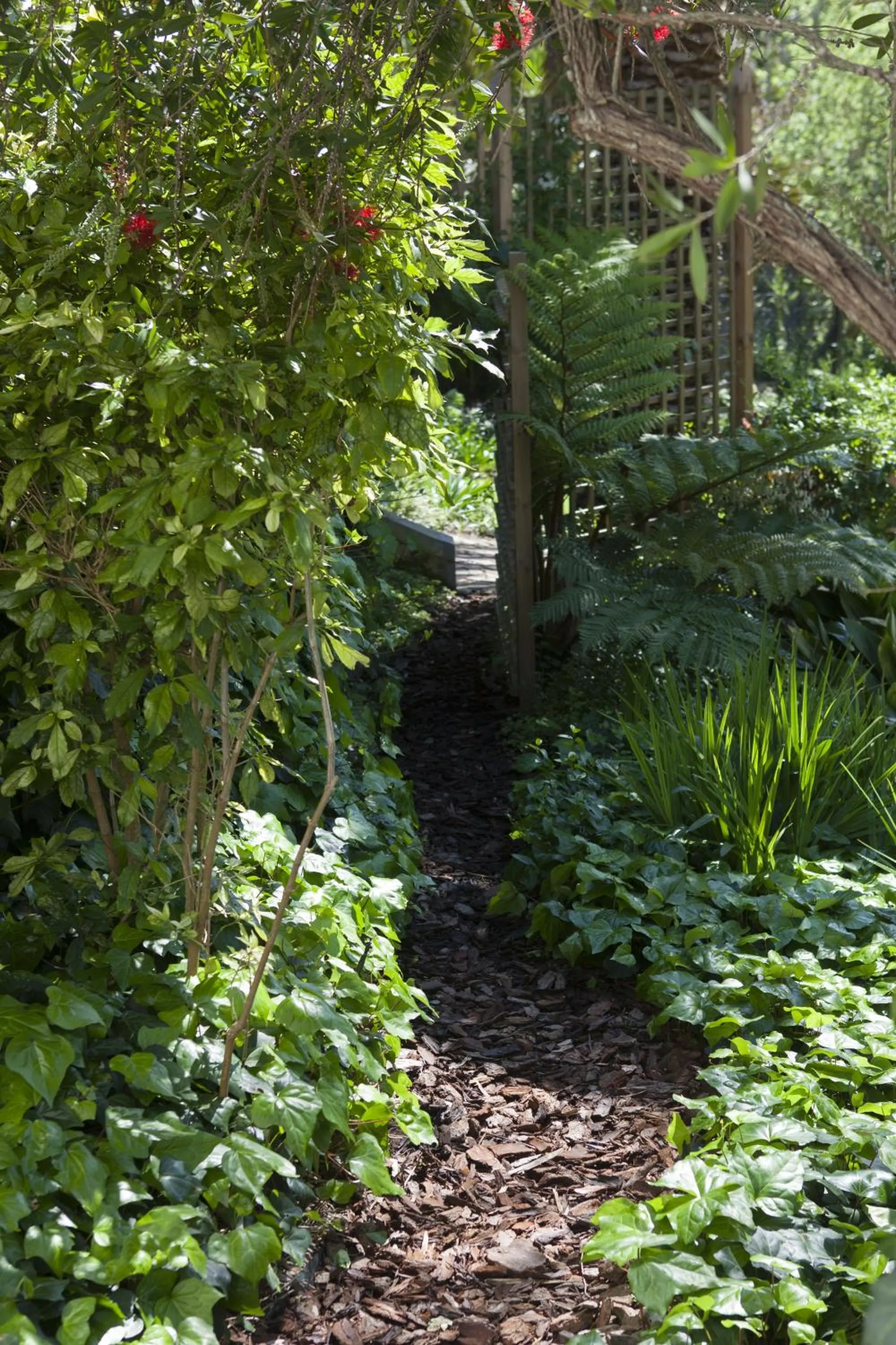 Garden in 33 Strawberry Lane - Studio and Cottage