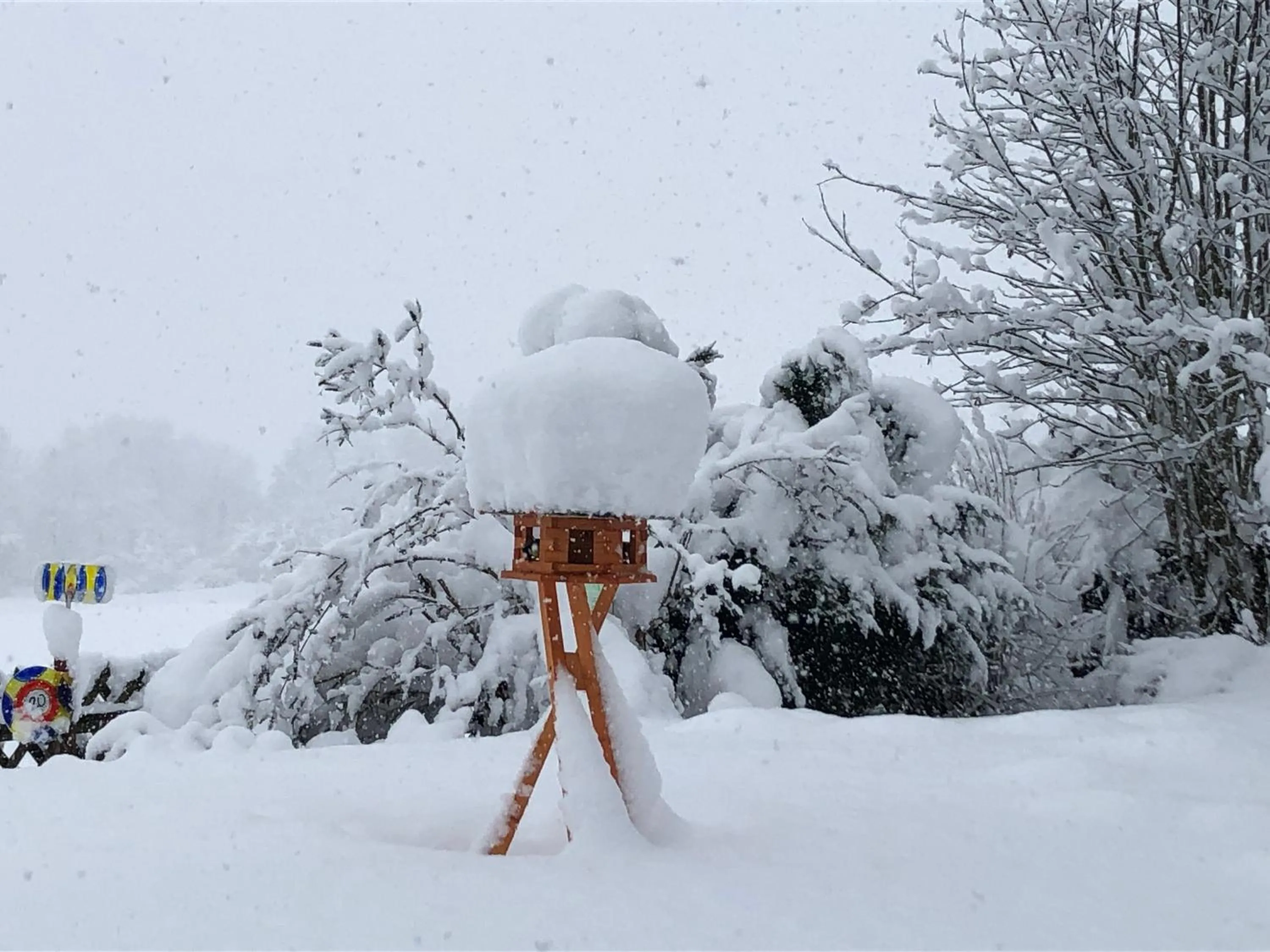 Hotel "Haus am Berg"
