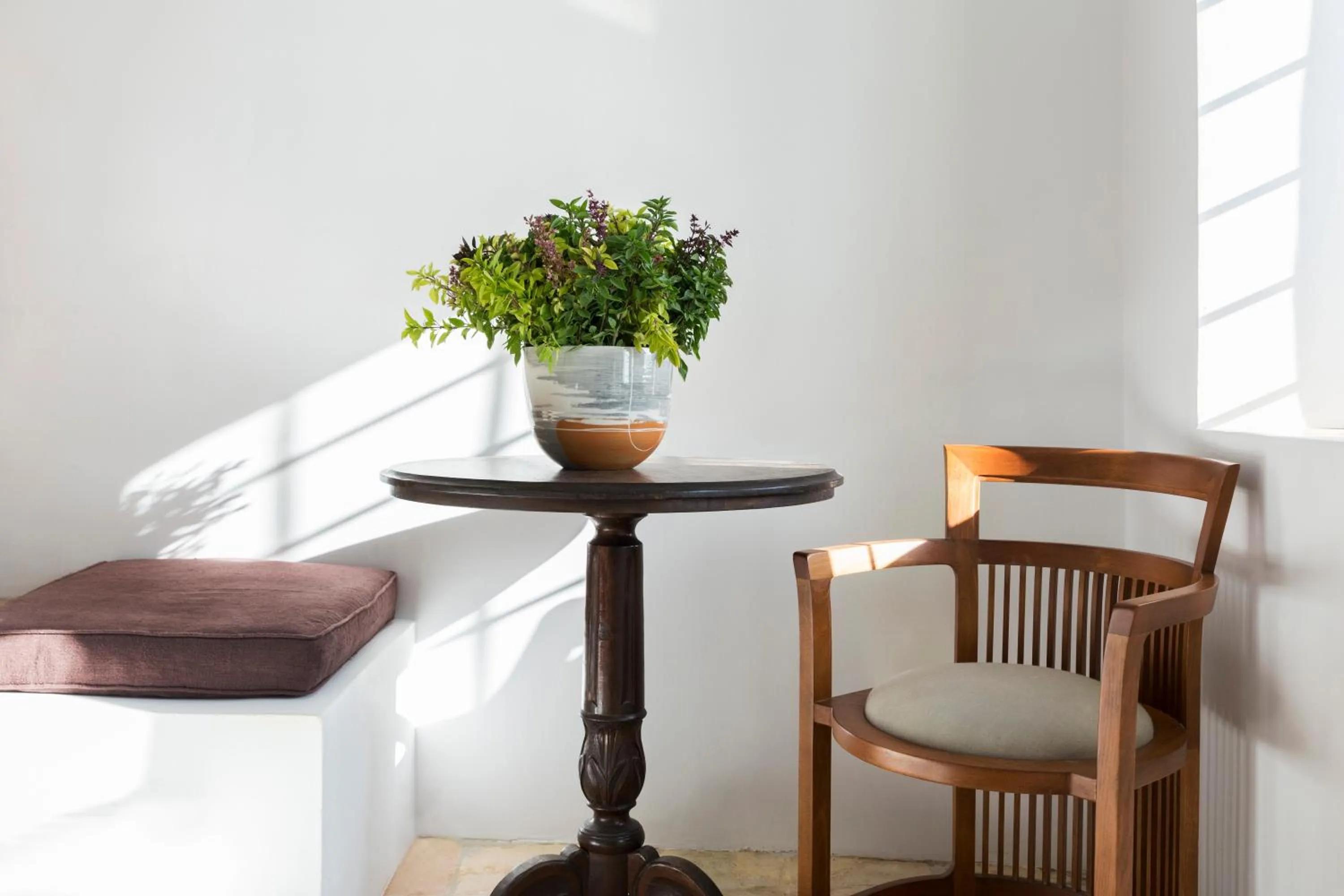 Seating area in The Vasilicos