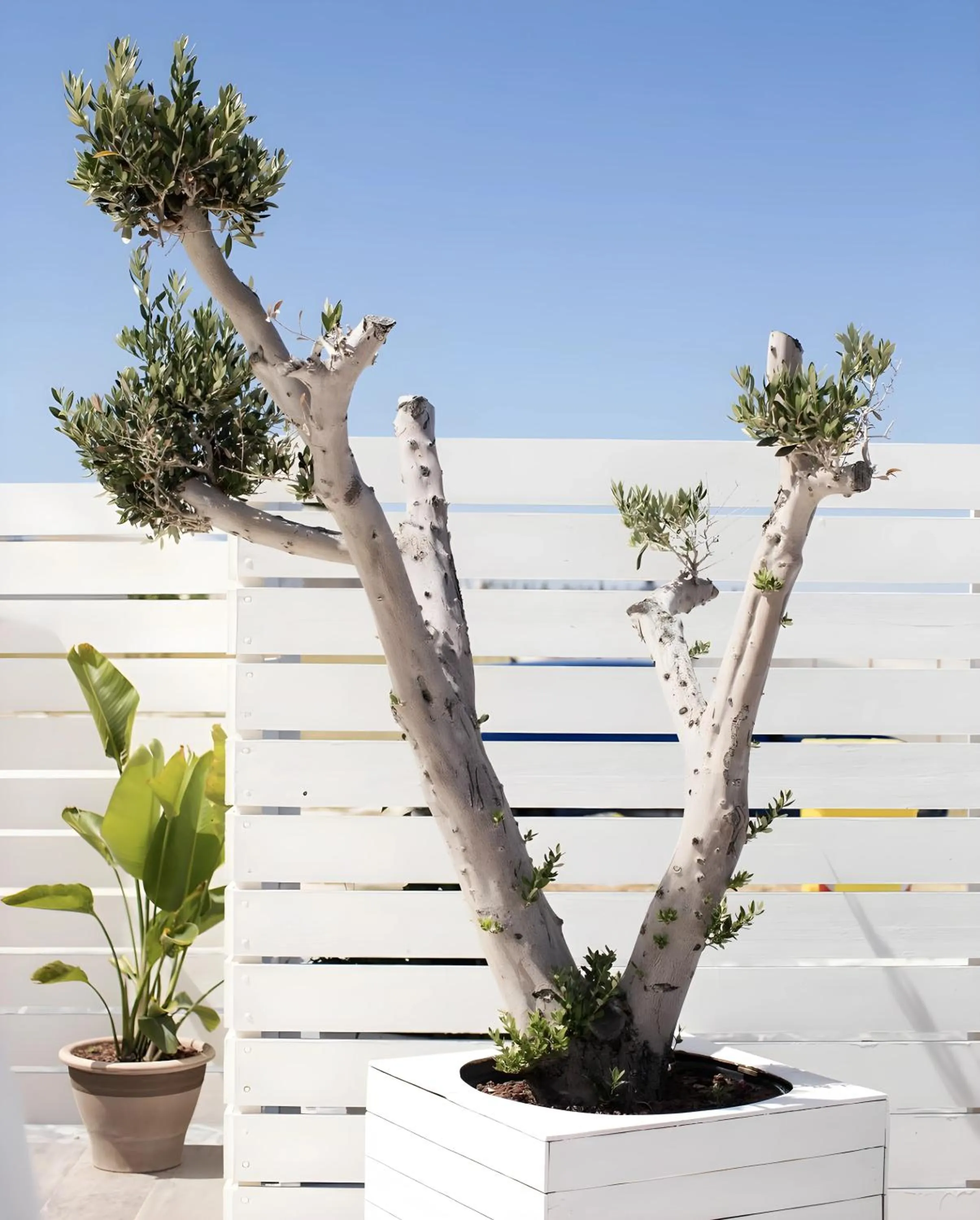 Balcony/Terrace in HOTIDAY Vieste Lungomare
