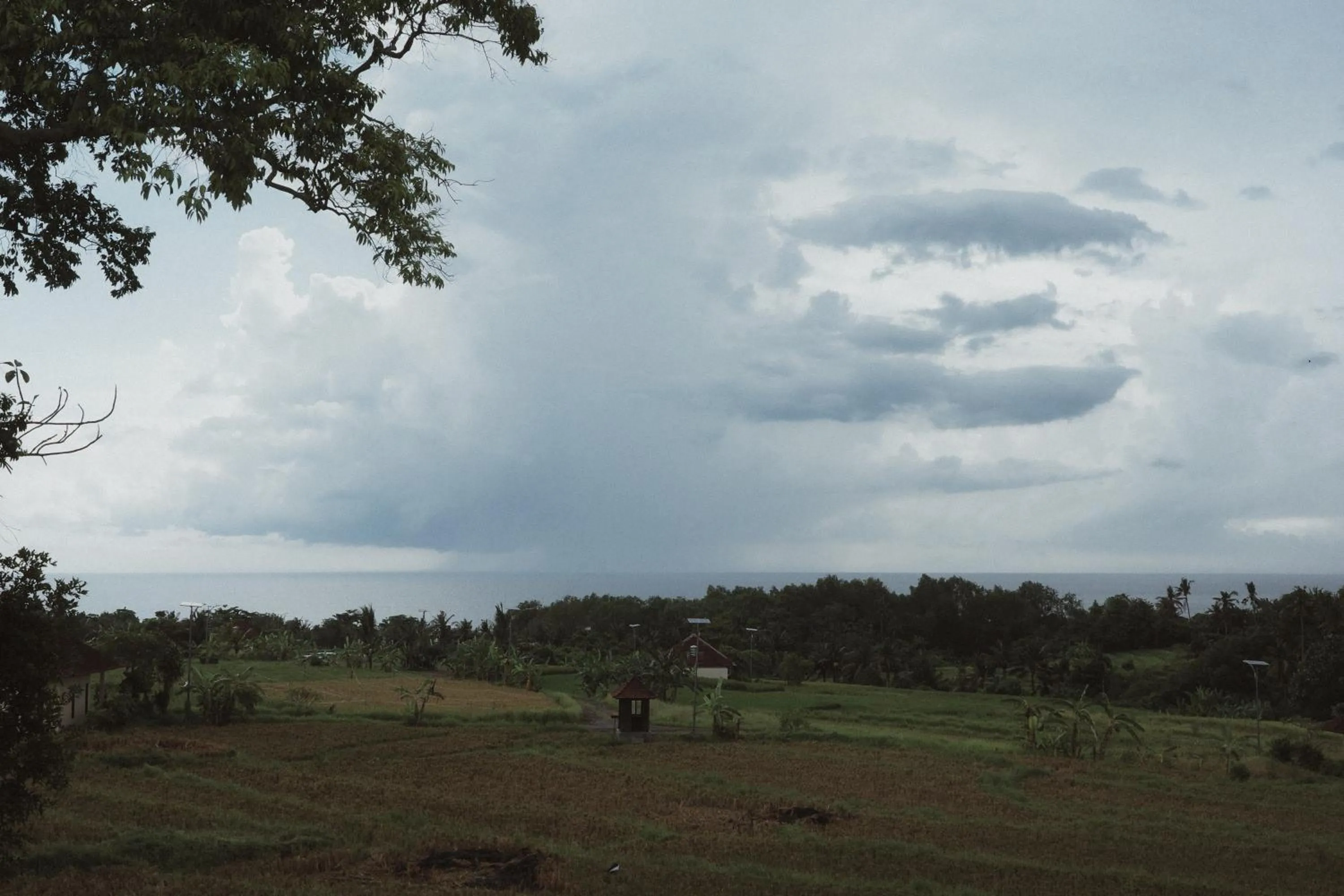 Natural landscape in SOKO' Stay at Kedungu