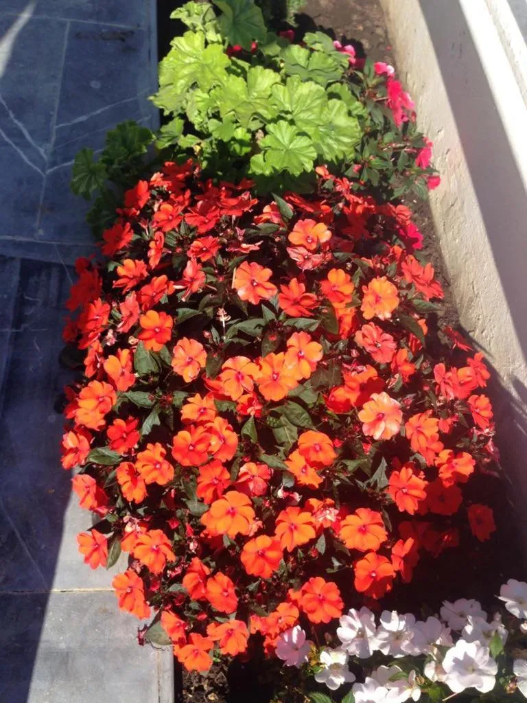 On site in Villa Tanger Cap Spartel Vue sur mer