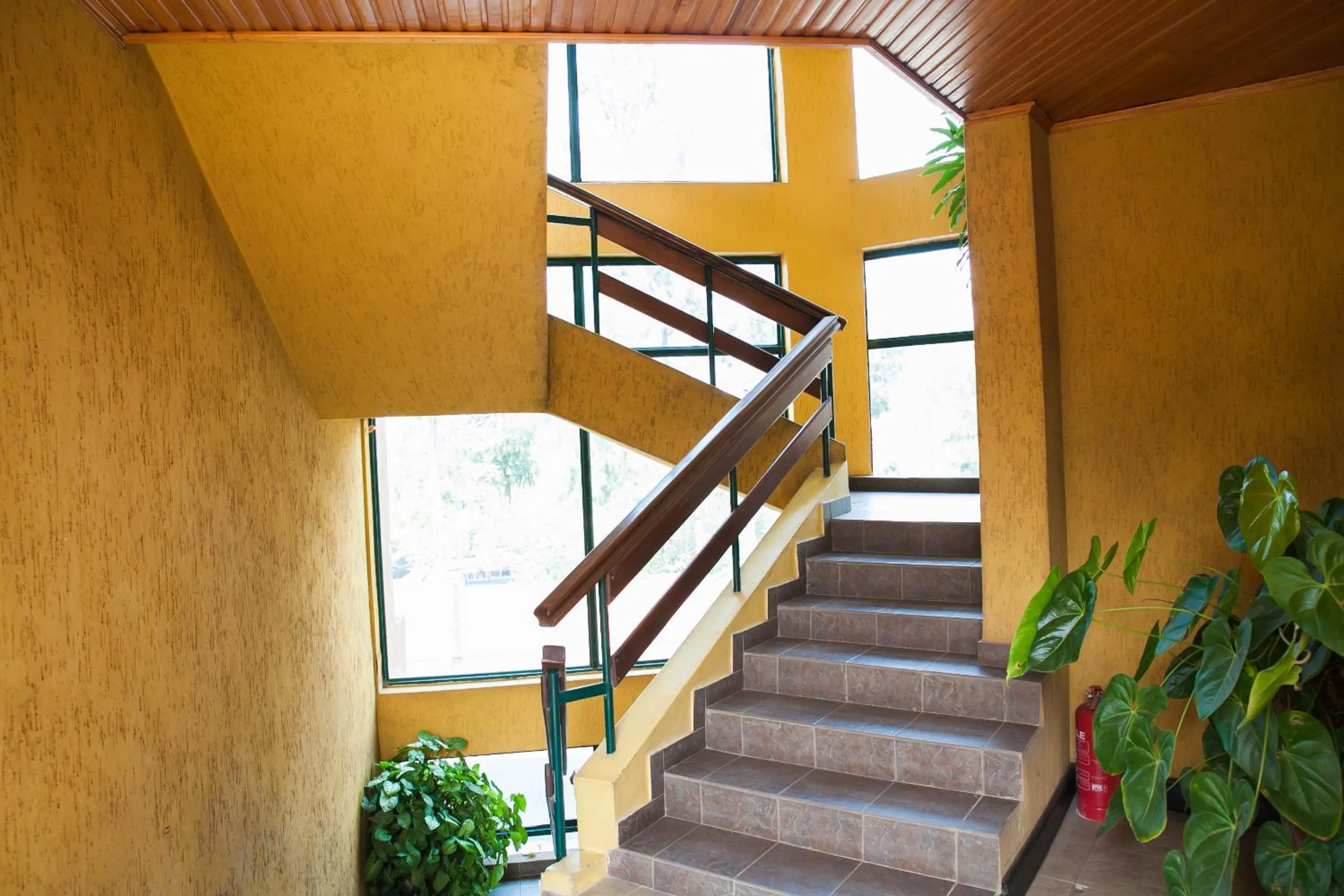 Other in Gorillas City Centre Hotel