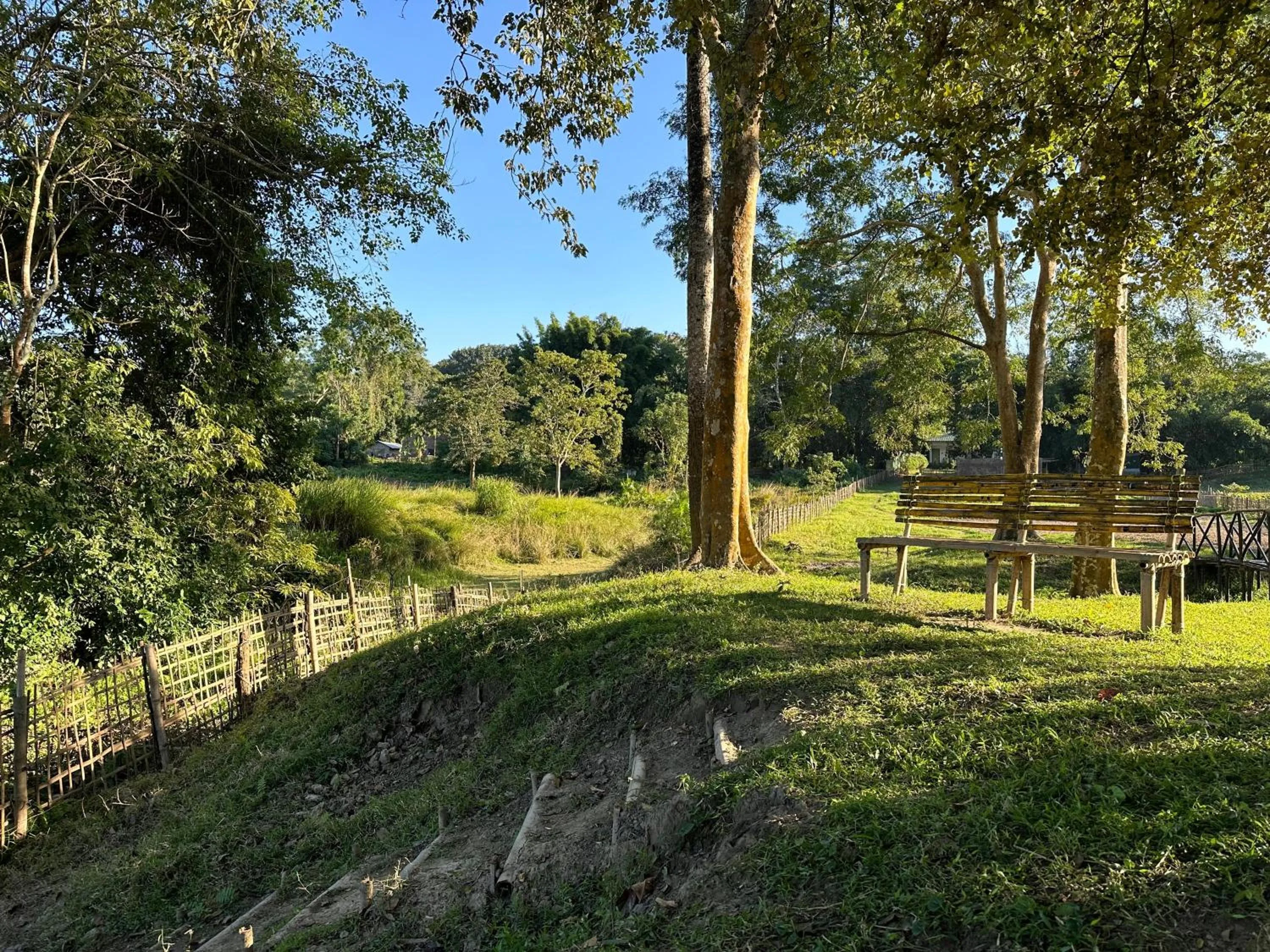 Garden in Jungleciti House, Kaziranga National Park