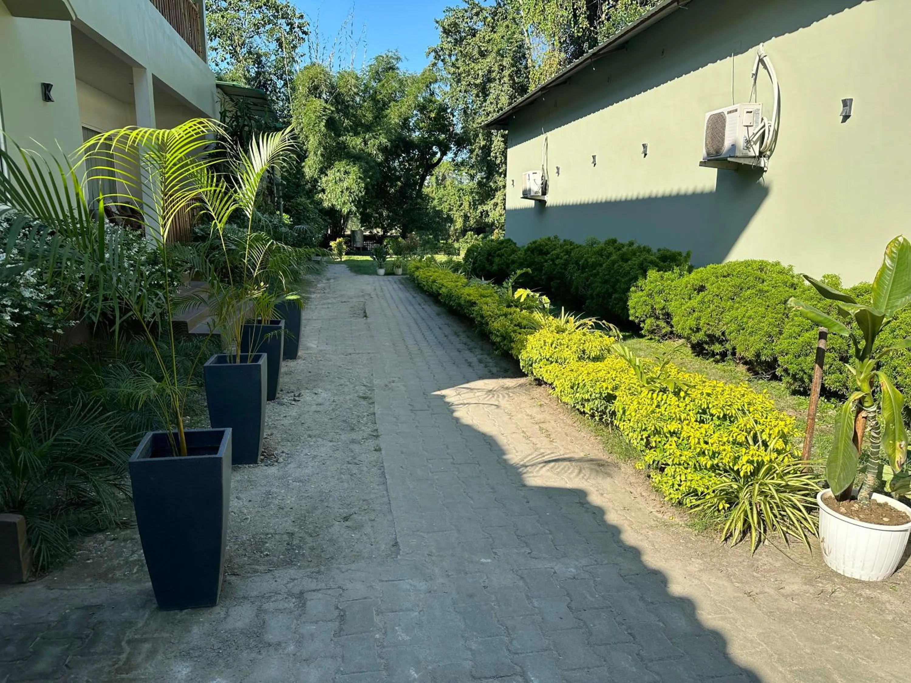 Garden in Jungleciti House, Kaziranga National Park