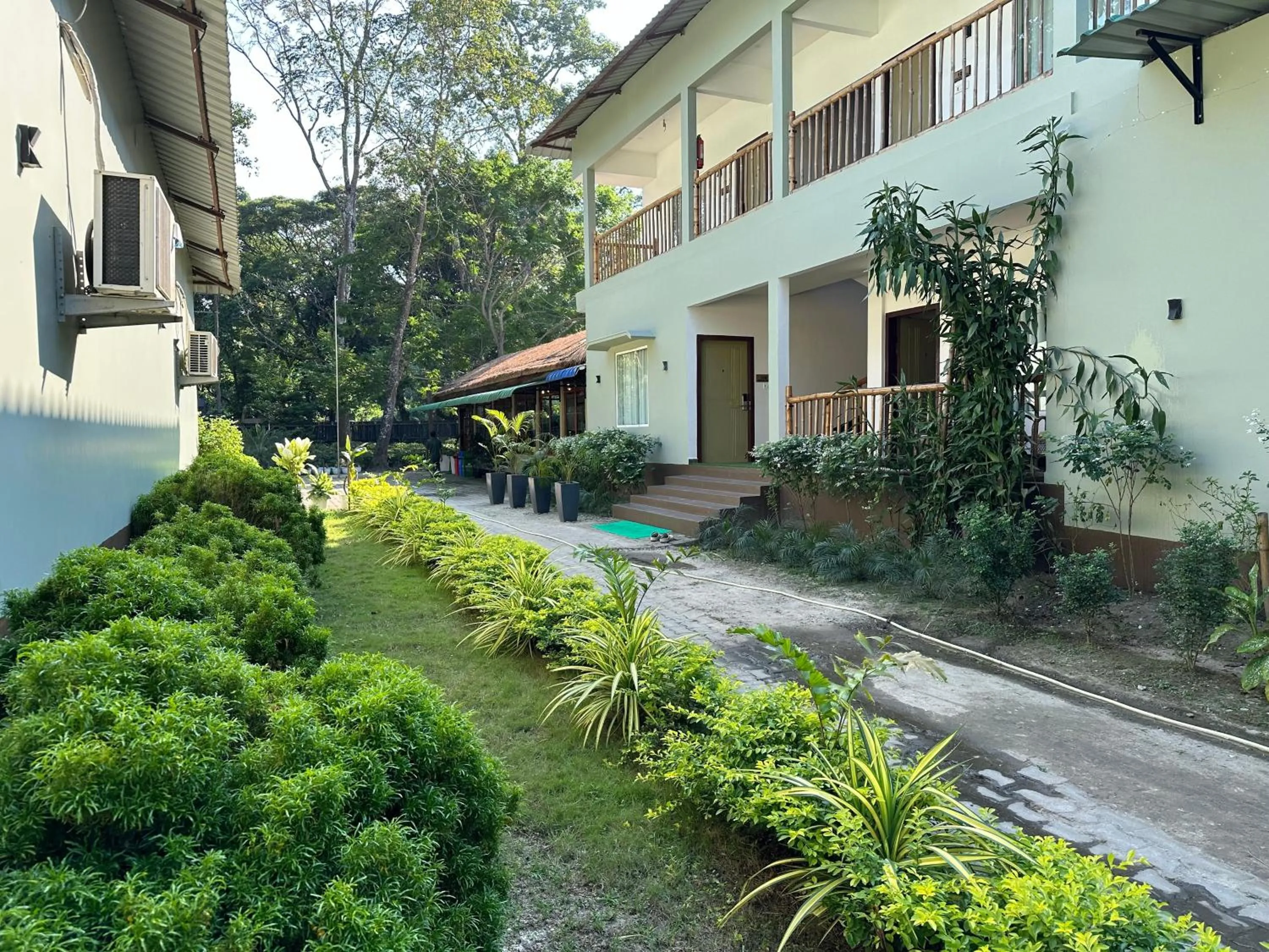 Property building in Jungleciti House, Kaziranga National Park