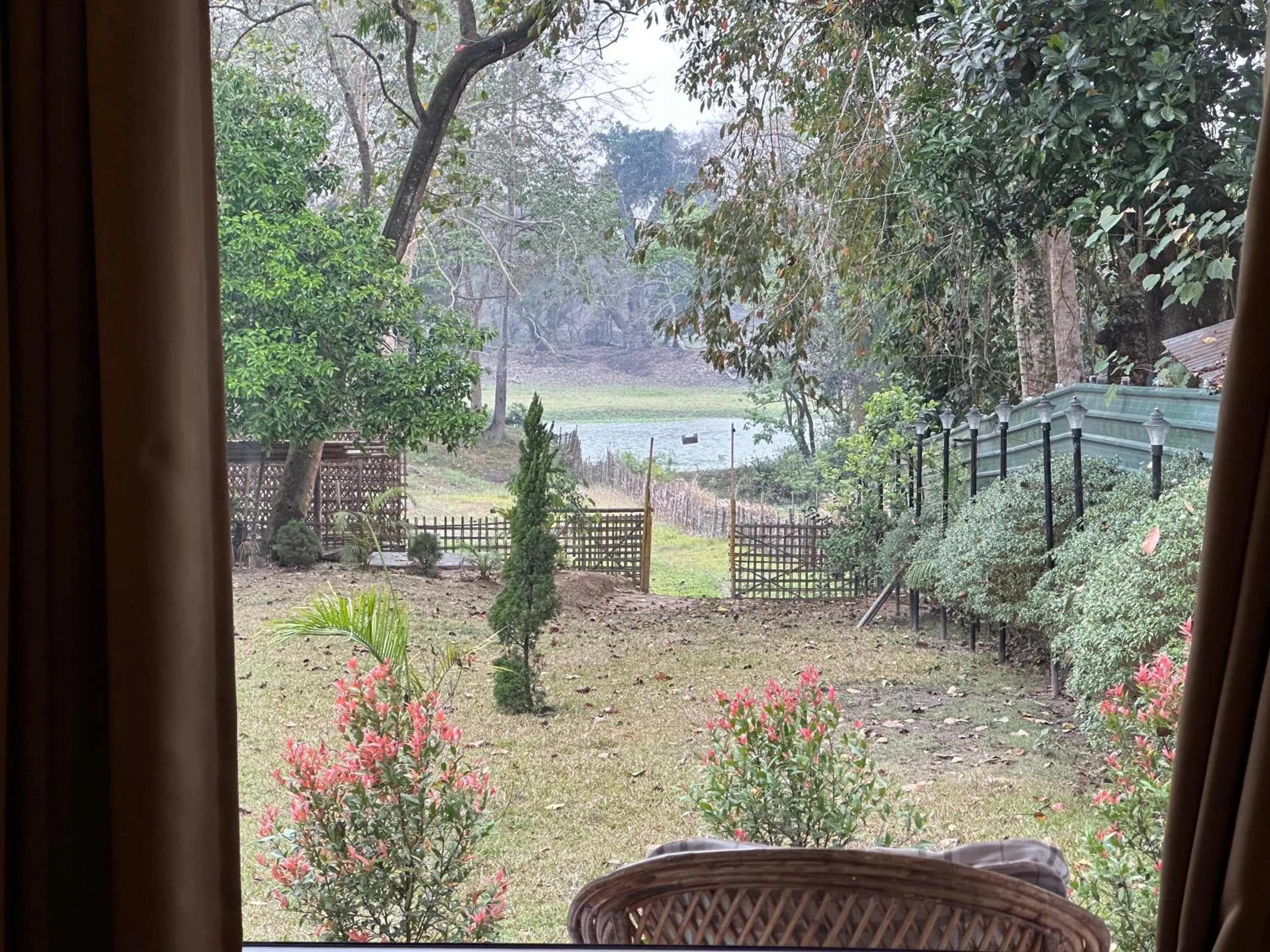Garden in Jungleciti House, Kaziranga National Park