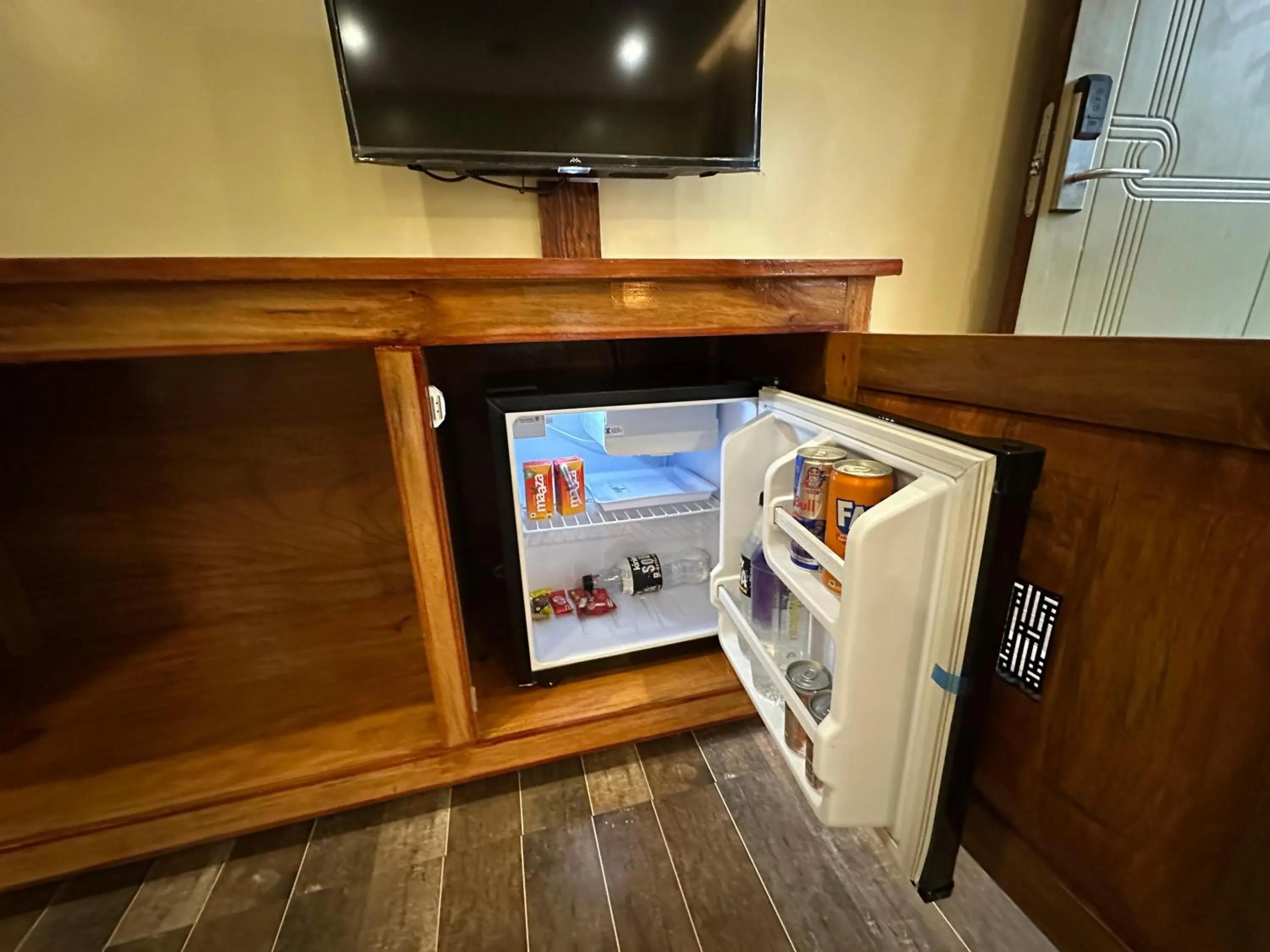 TV and multimedia in Jungleciti House, Kaziranga National Park