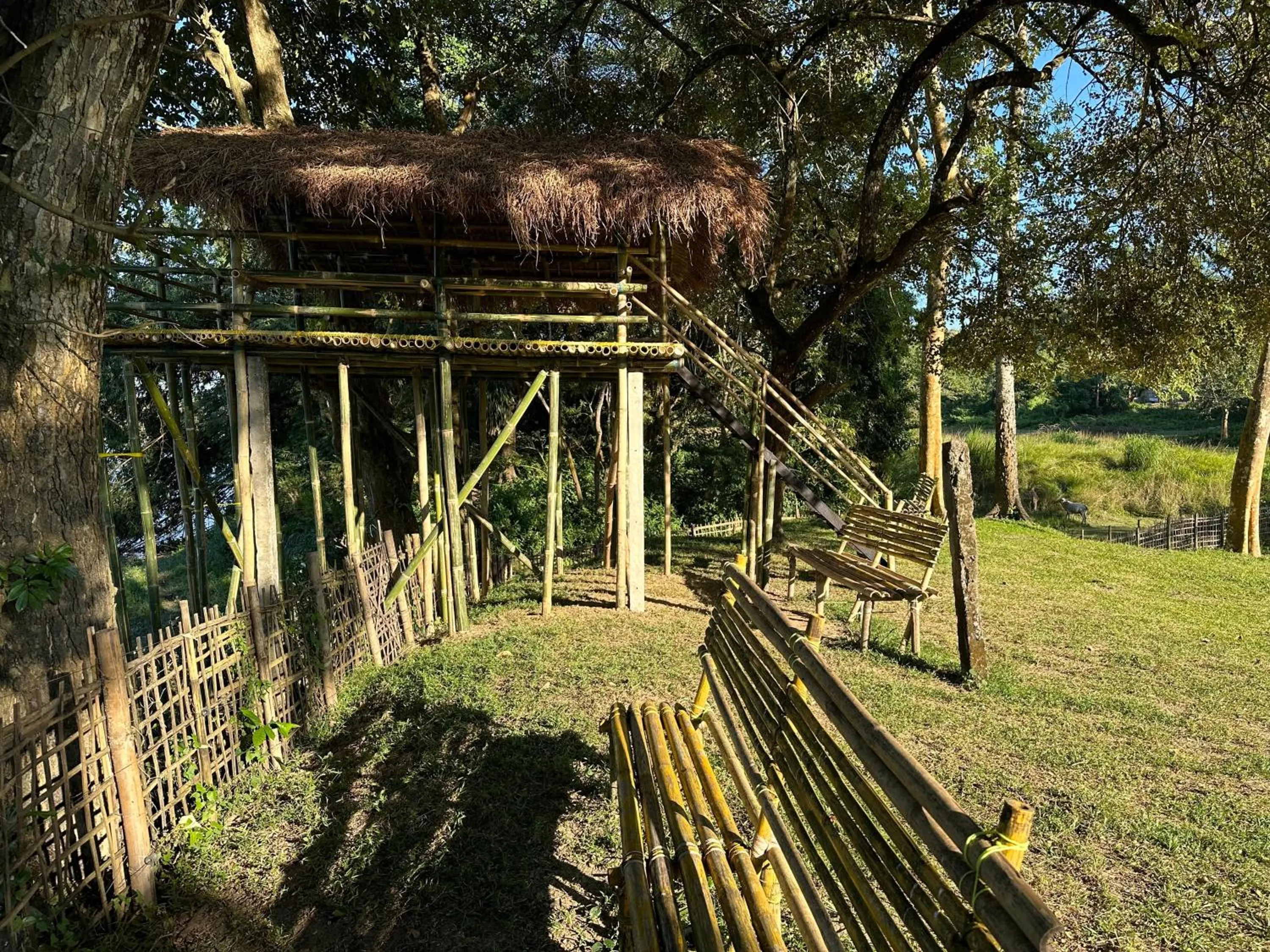 Landmark view in Jungleciti House, Kaziranga National Park