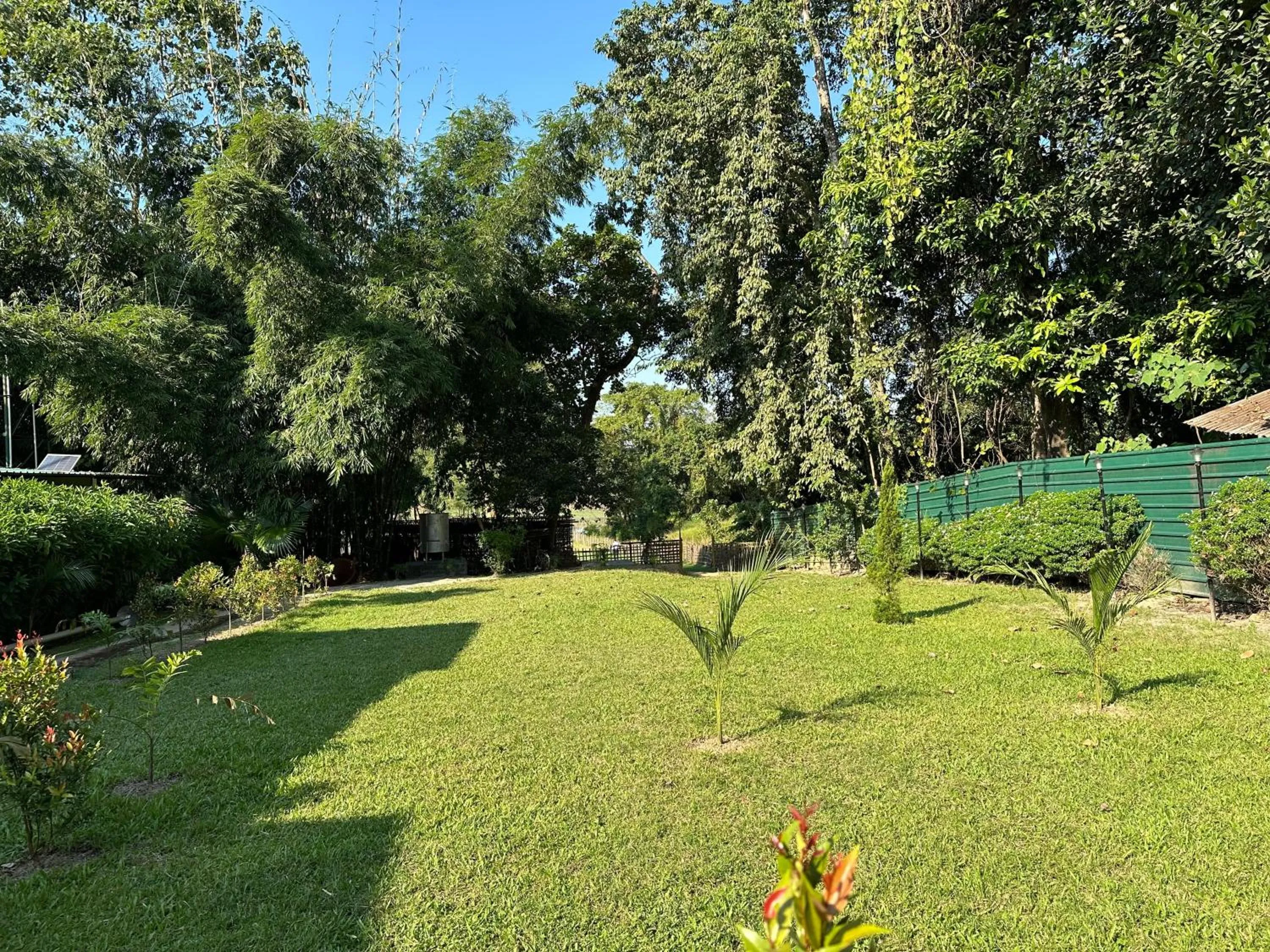 Natural landscape in Jungleciti House, Kaziranga National Park