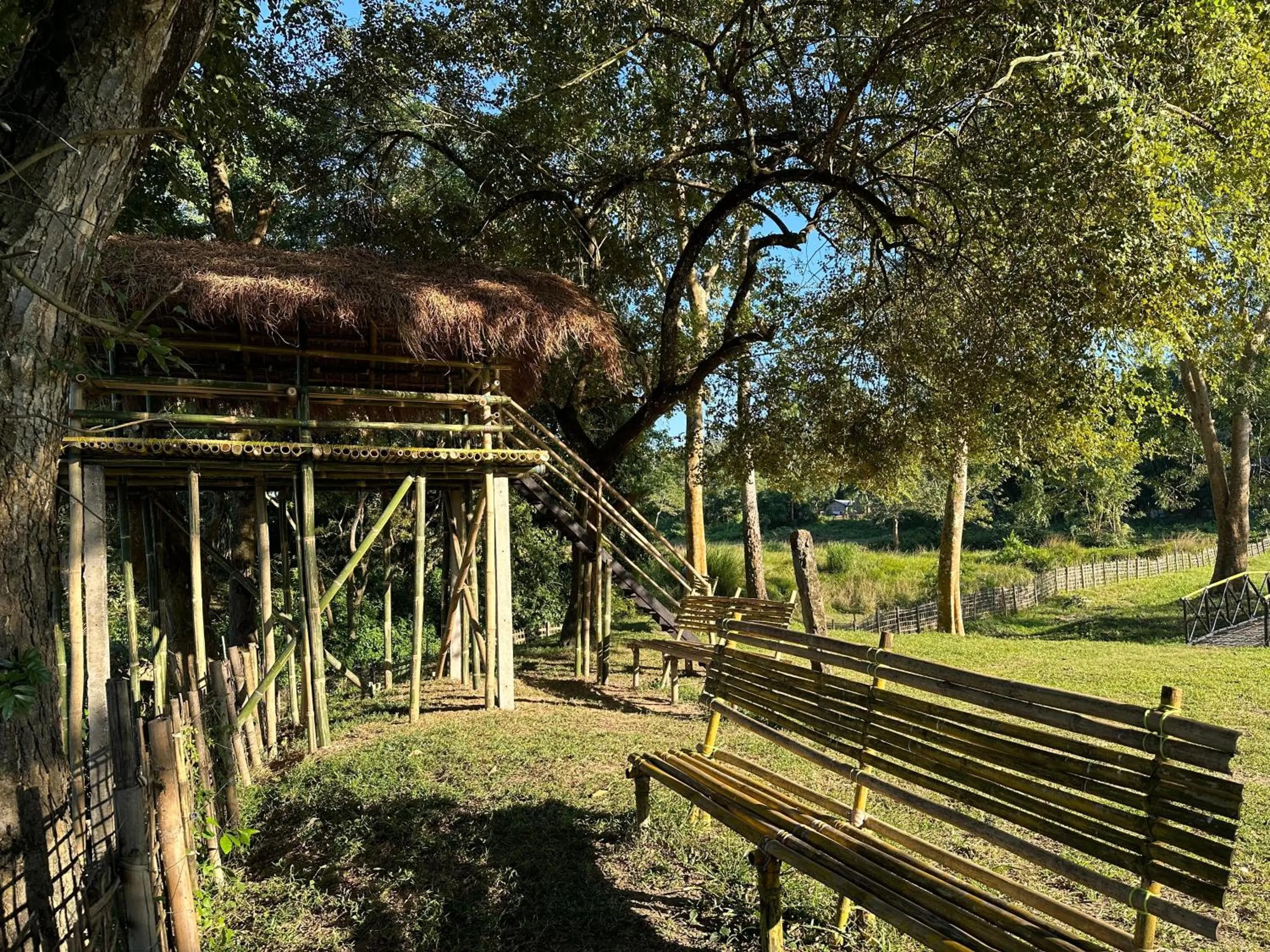 Landmark view in Jungleciti House, Kaziranga National Park