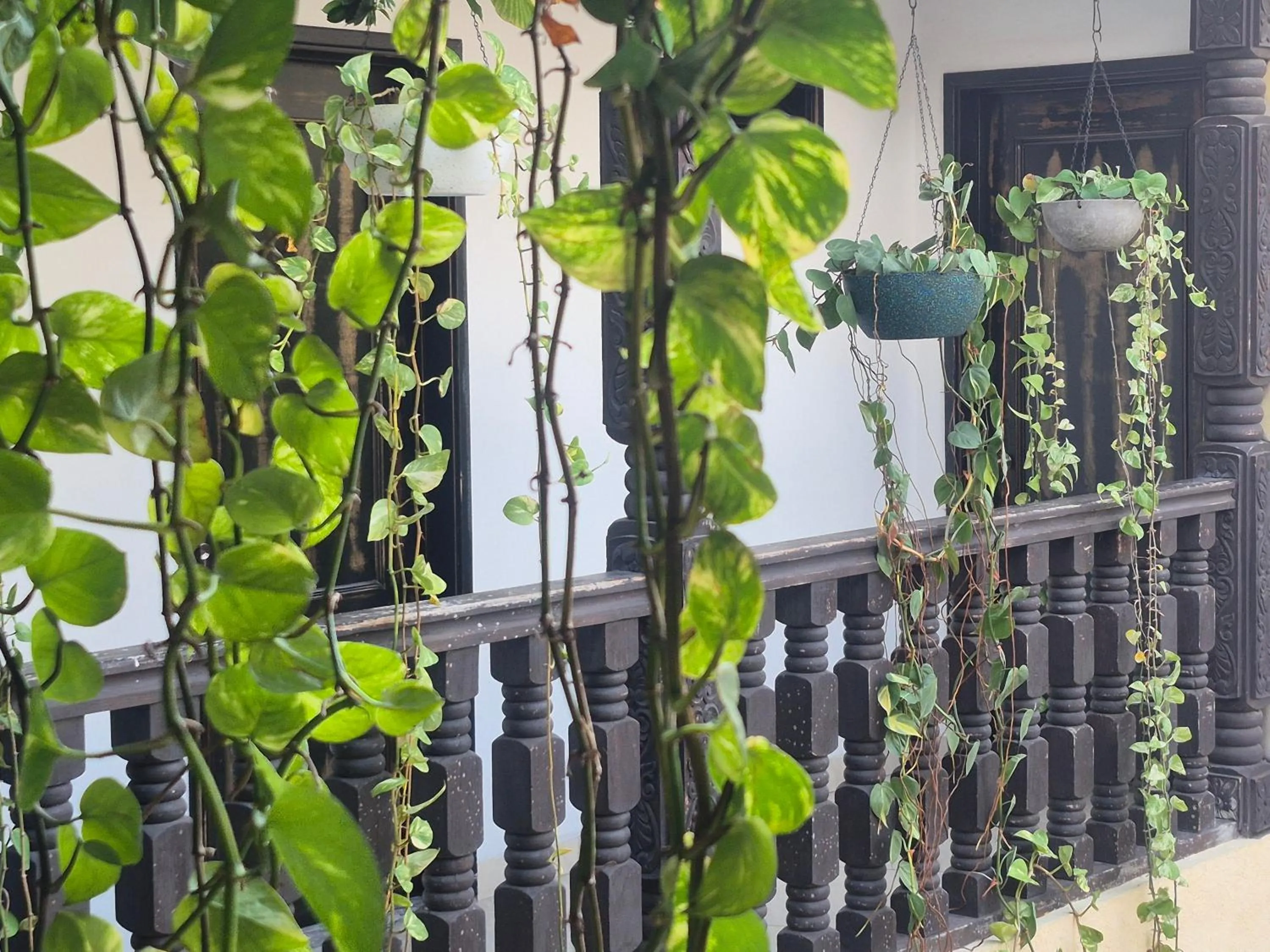Patio in Casa Sileo - boutique Hotel