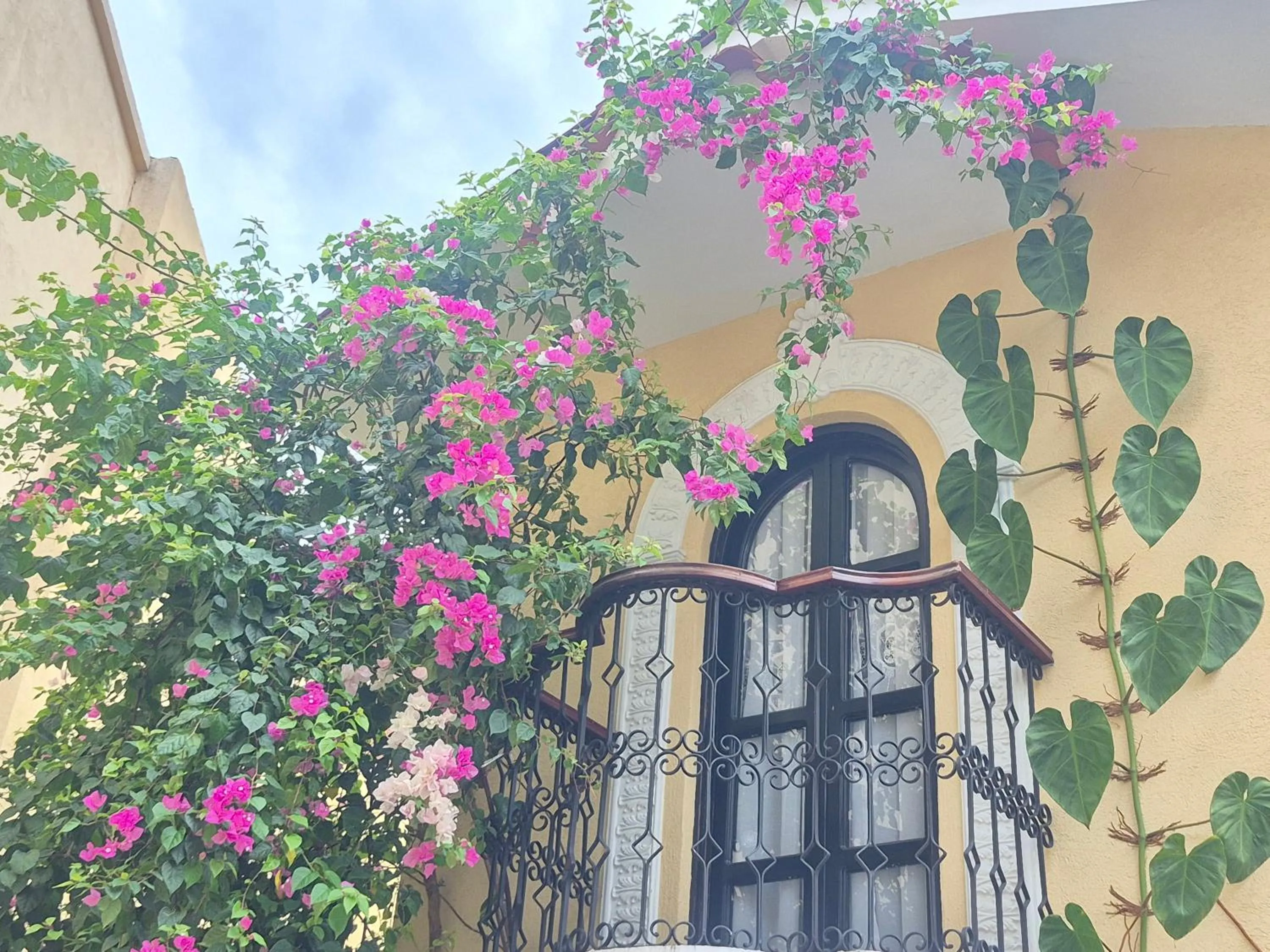 Patio in Casa Sileo - boutique Hotel