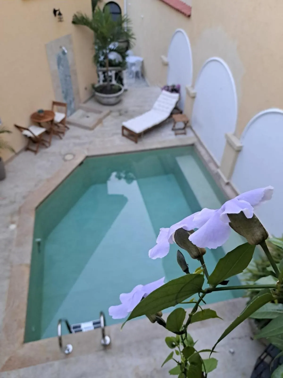 Swimming pool in Casa Sileo - boutique Hotel