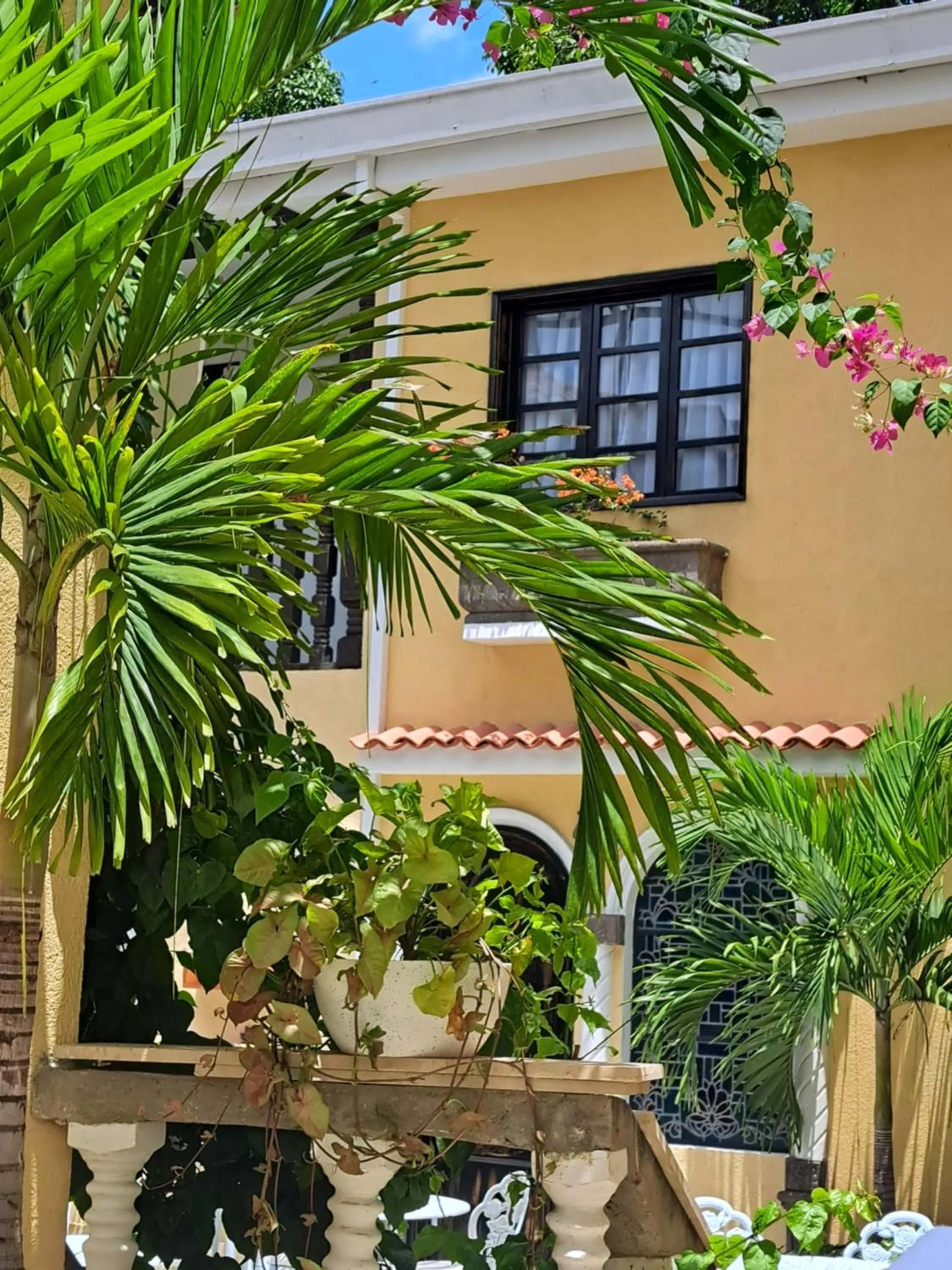 Patio in Casa Sileo - boutique Hotel