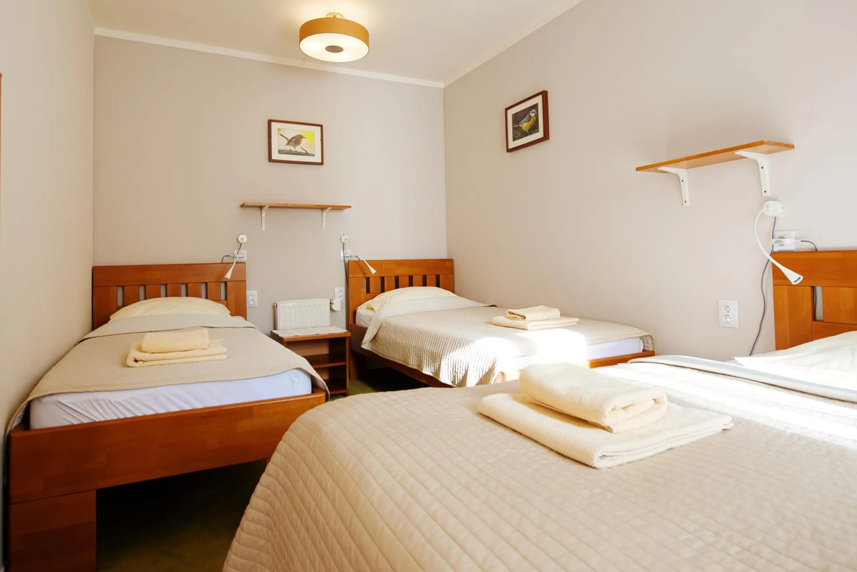 Bed in Hotýlek pod smrkem