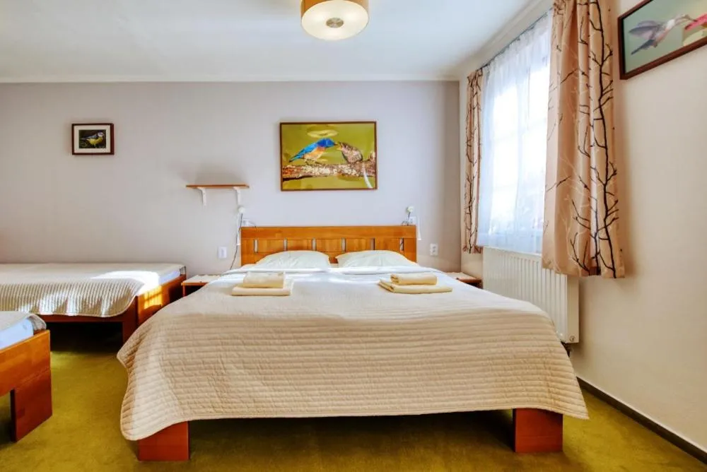 Bed in Hotýlek pod smrkem