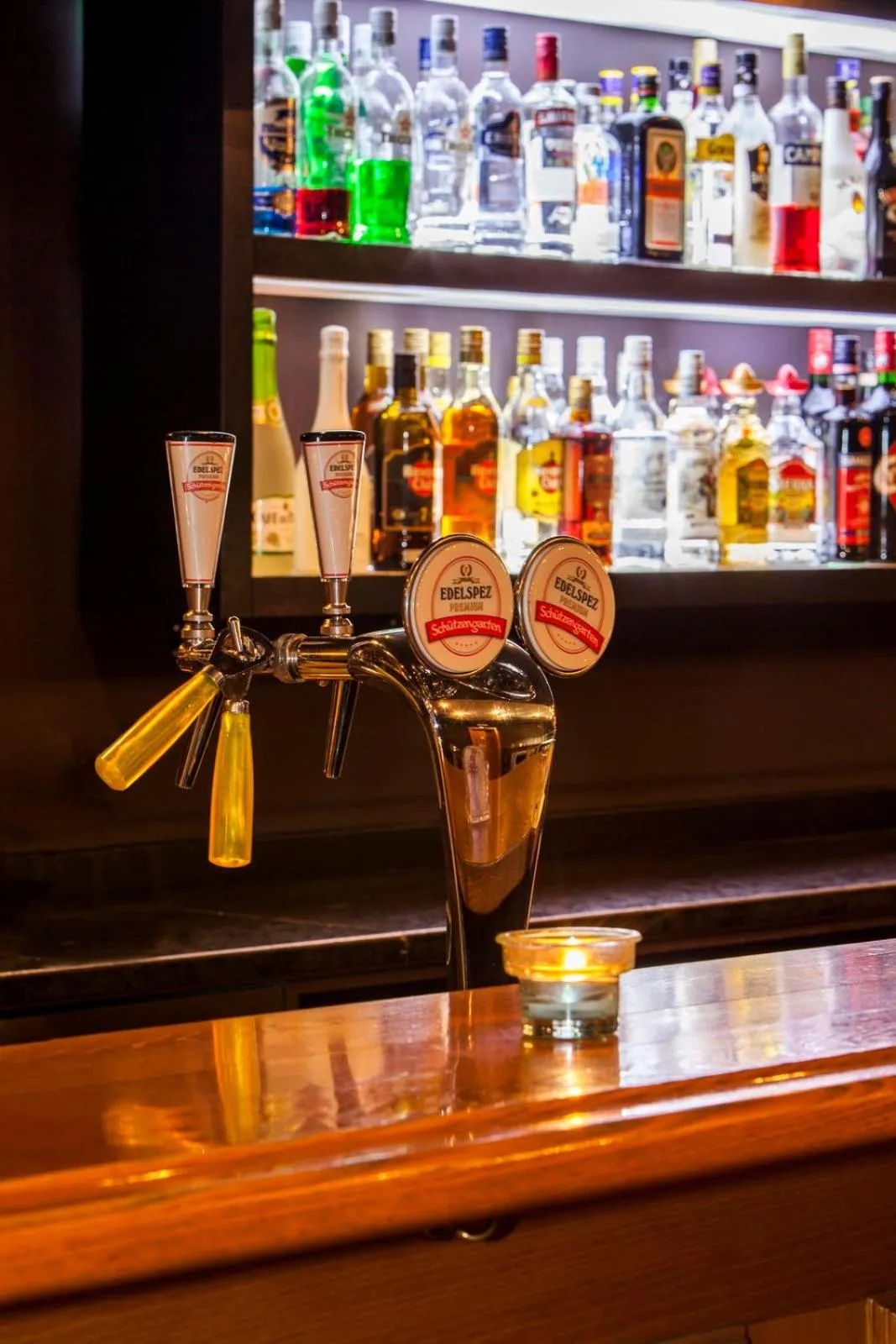 Lounge or bar in Hotel Zur Au